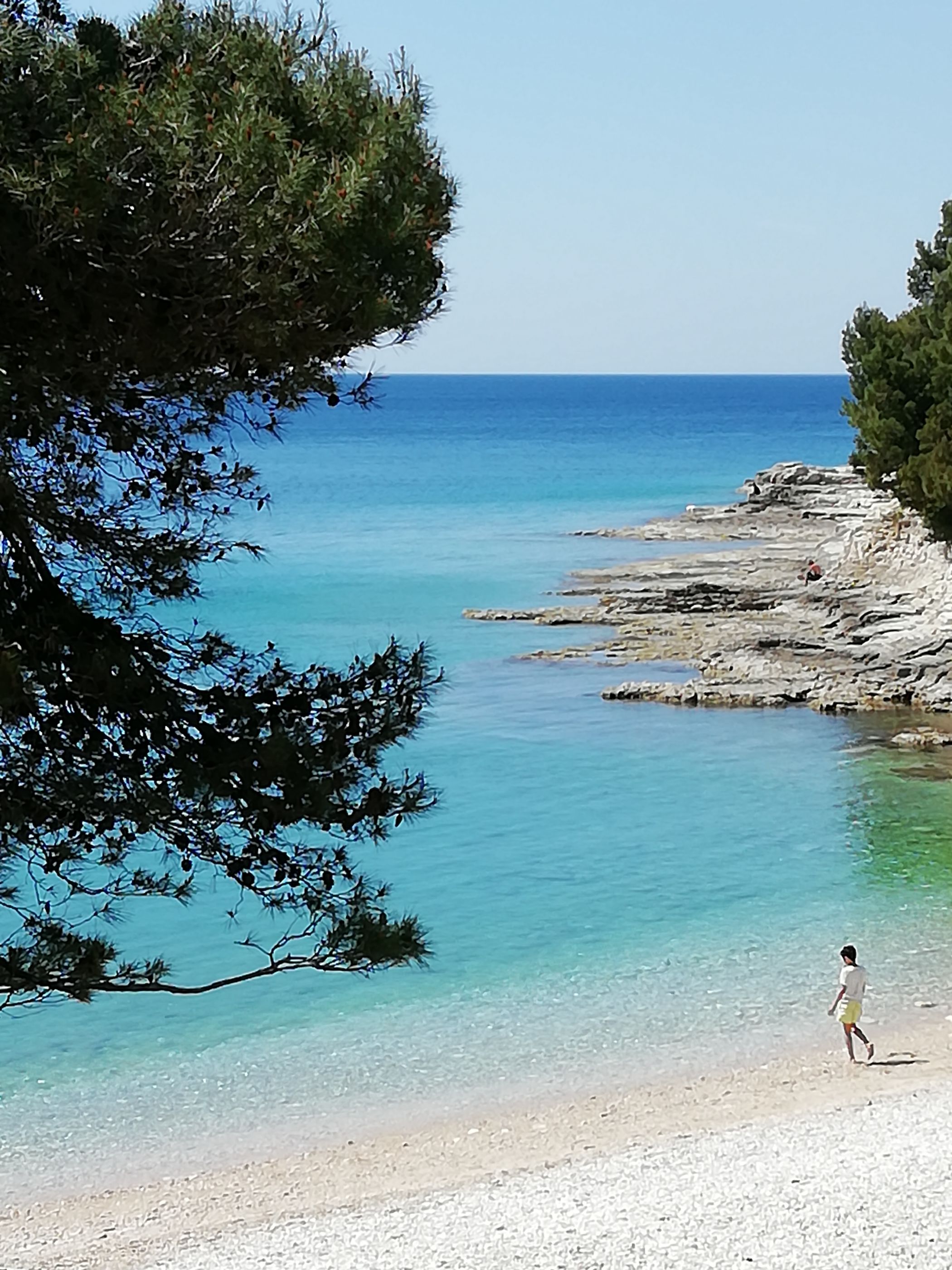 Photo of Apartments Jadranka