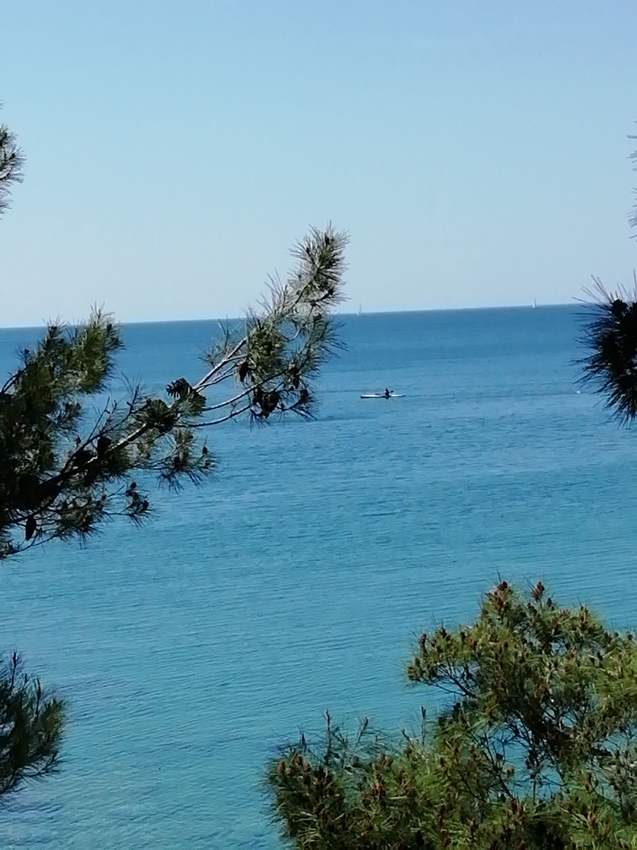 Photo of Apartments Jadranka