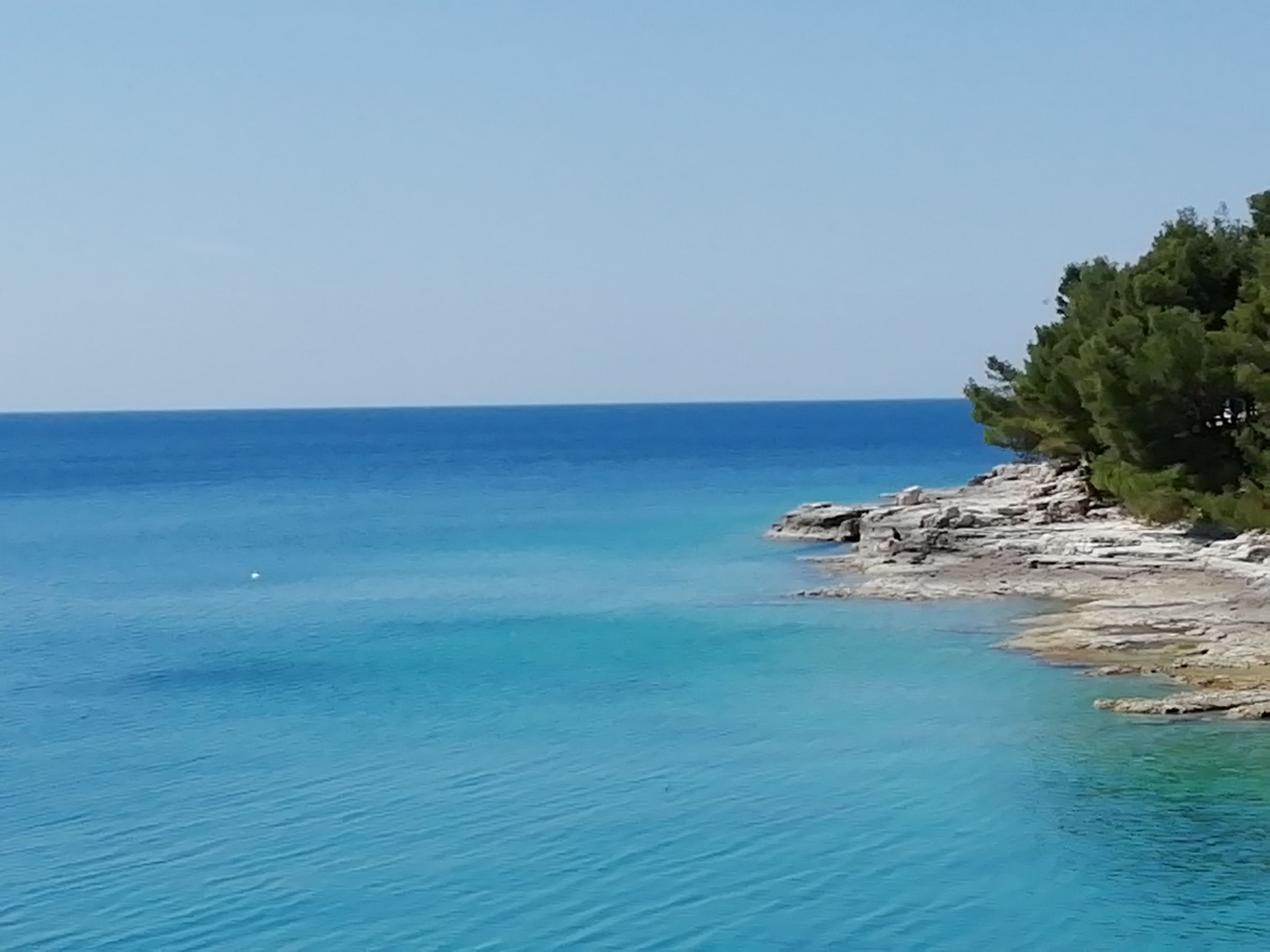 Photo of Apartments Jadranka