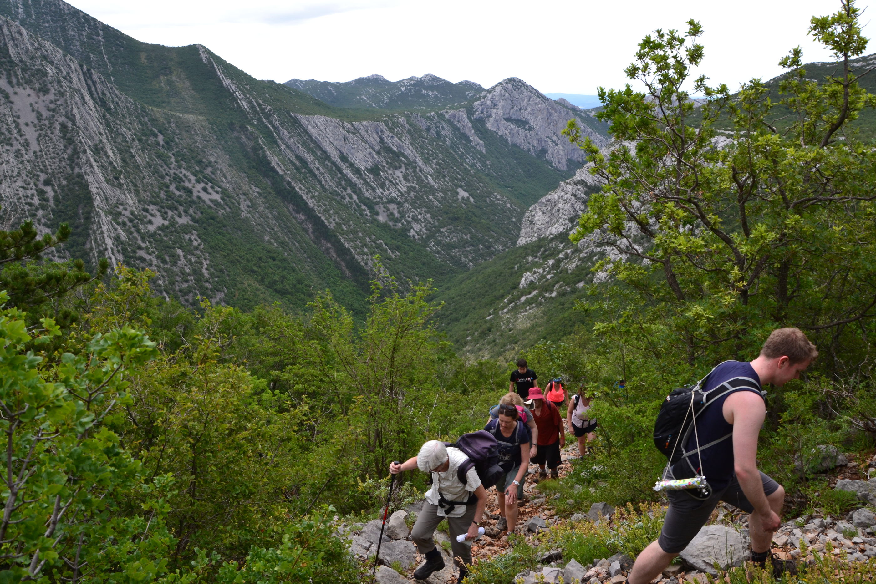 Photo of Apartment BELLEVUE