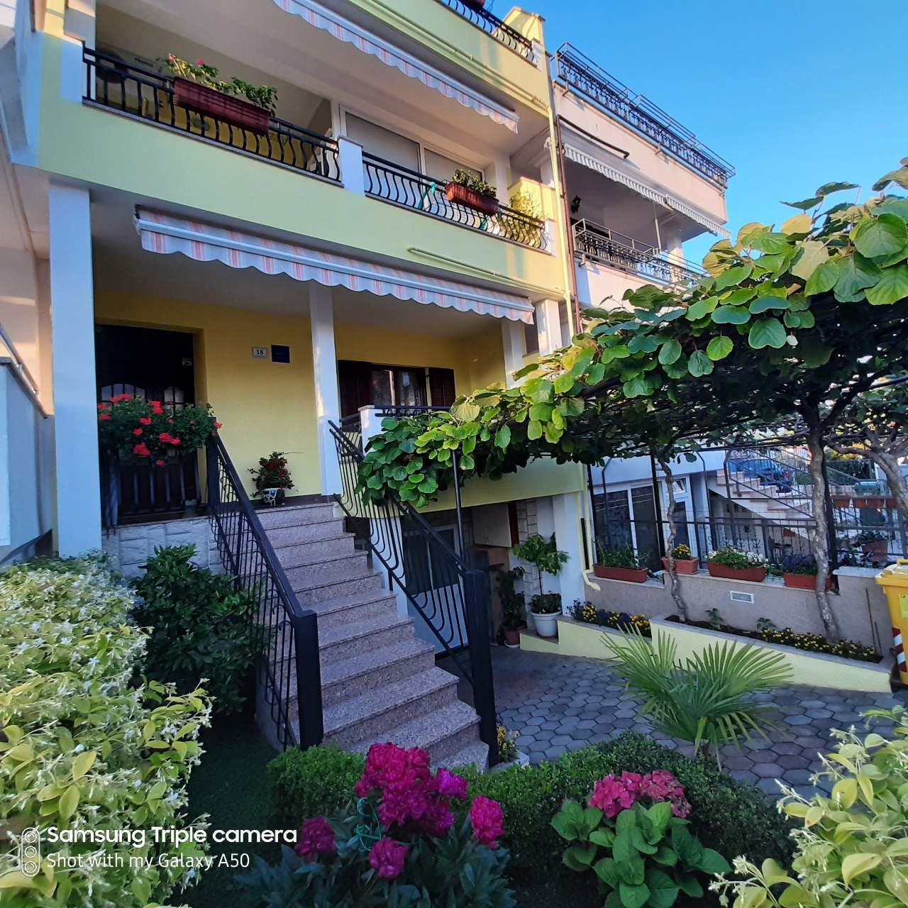 Photo of Apartments Elda