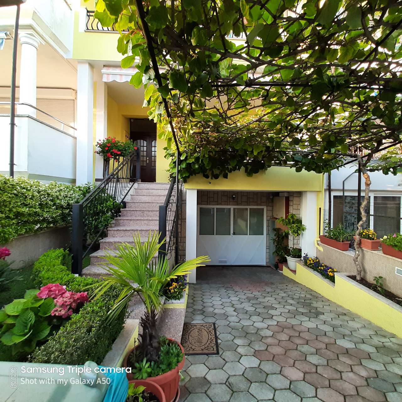 Photo of Apartments Elda