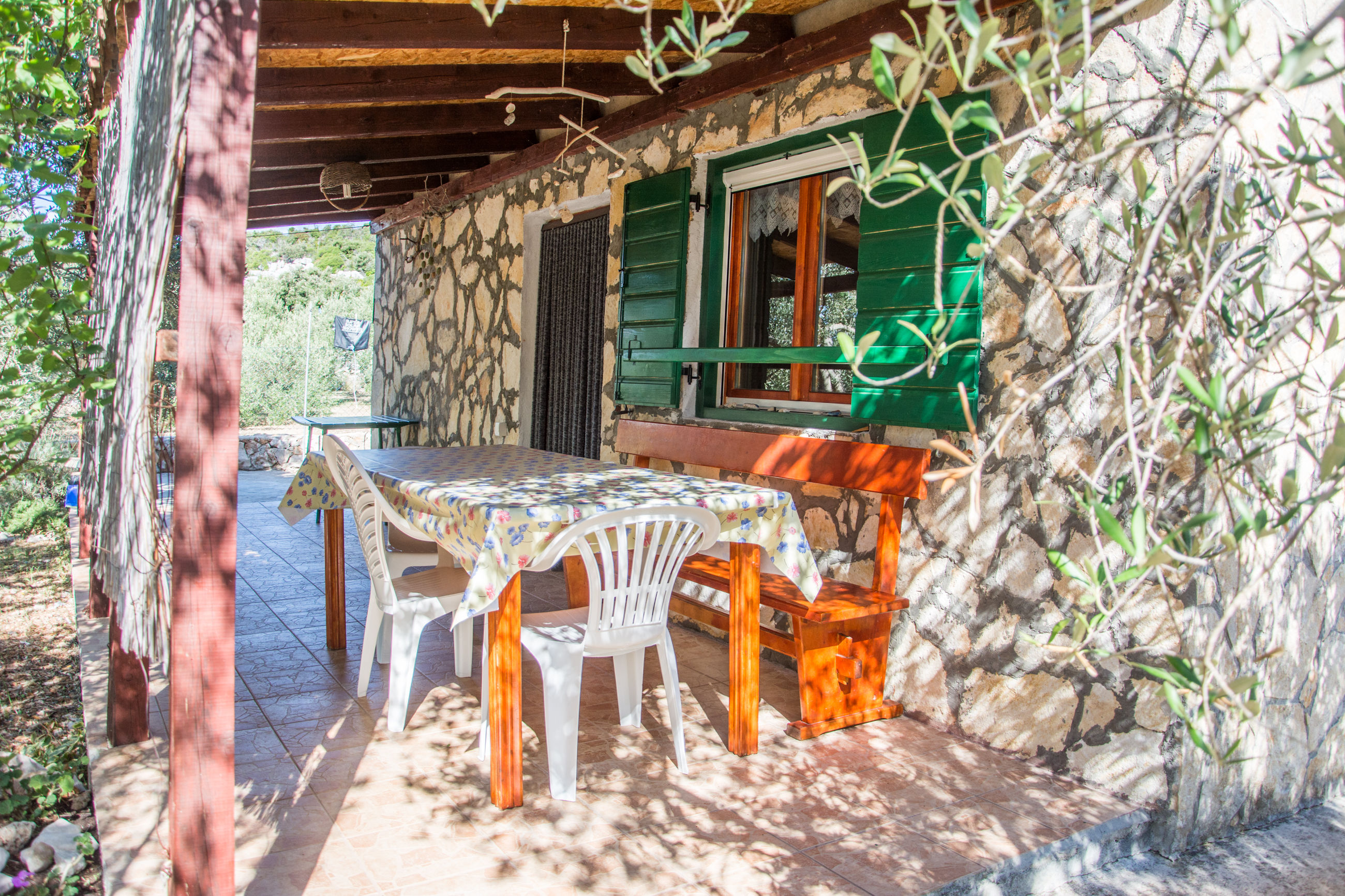 House Olive Tree 14641-K1