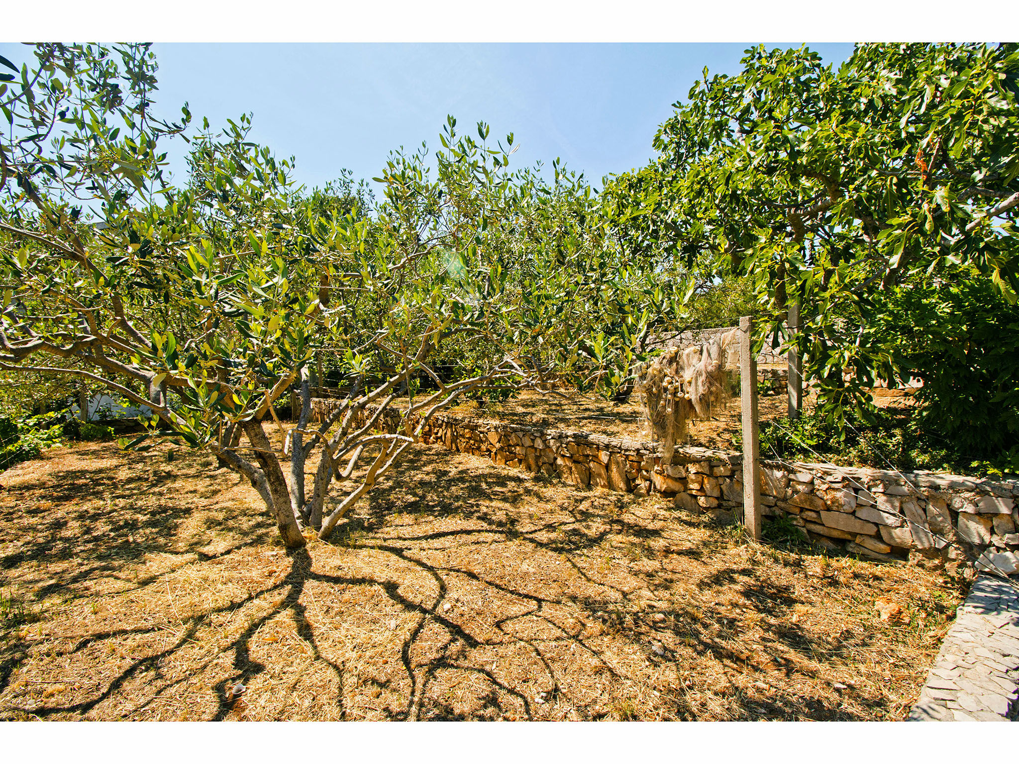 Villa MIKULA V6091-K1