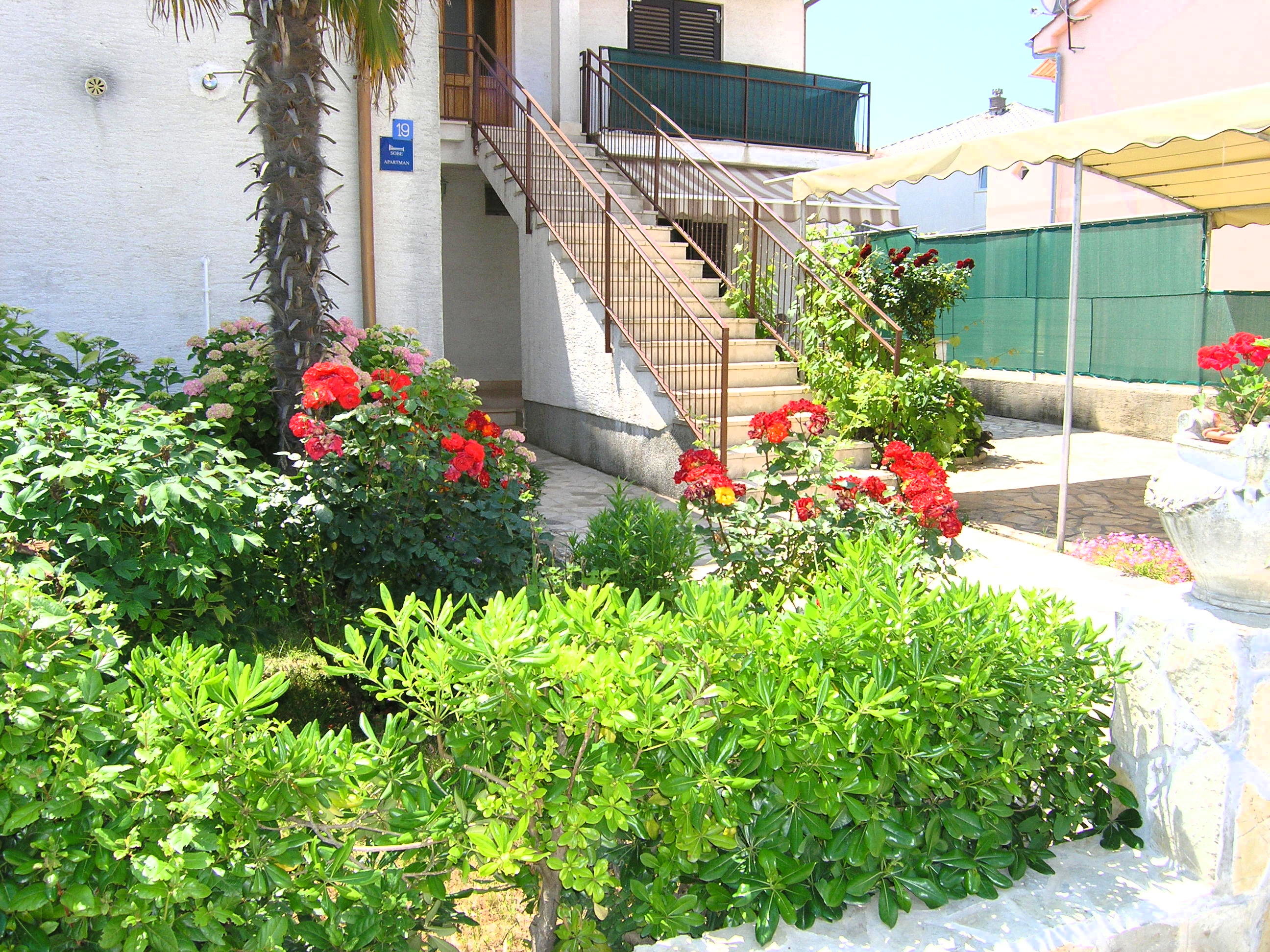 Apartment ZORA 15238-A1