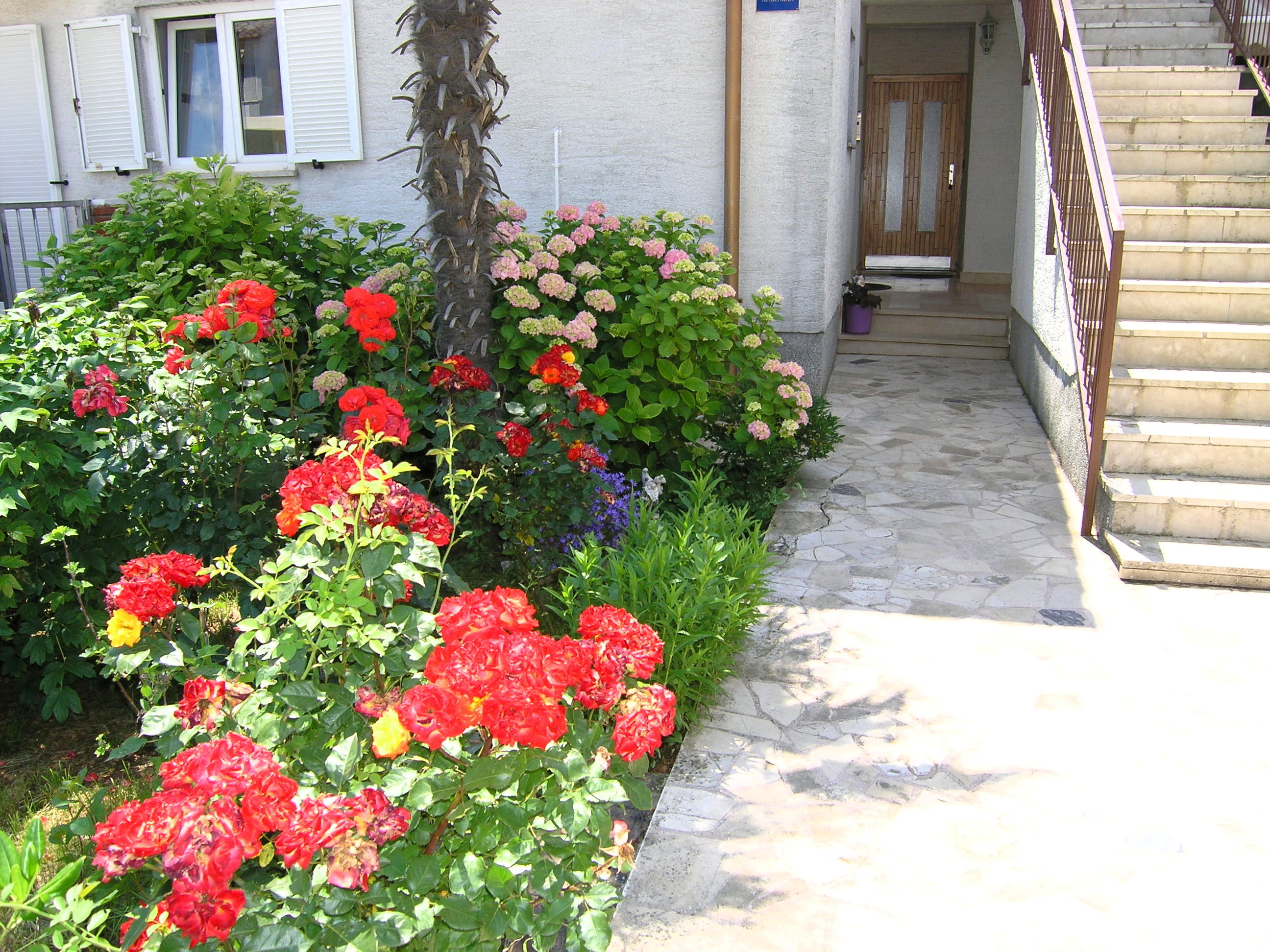 Apartment ZORA 15238-A1