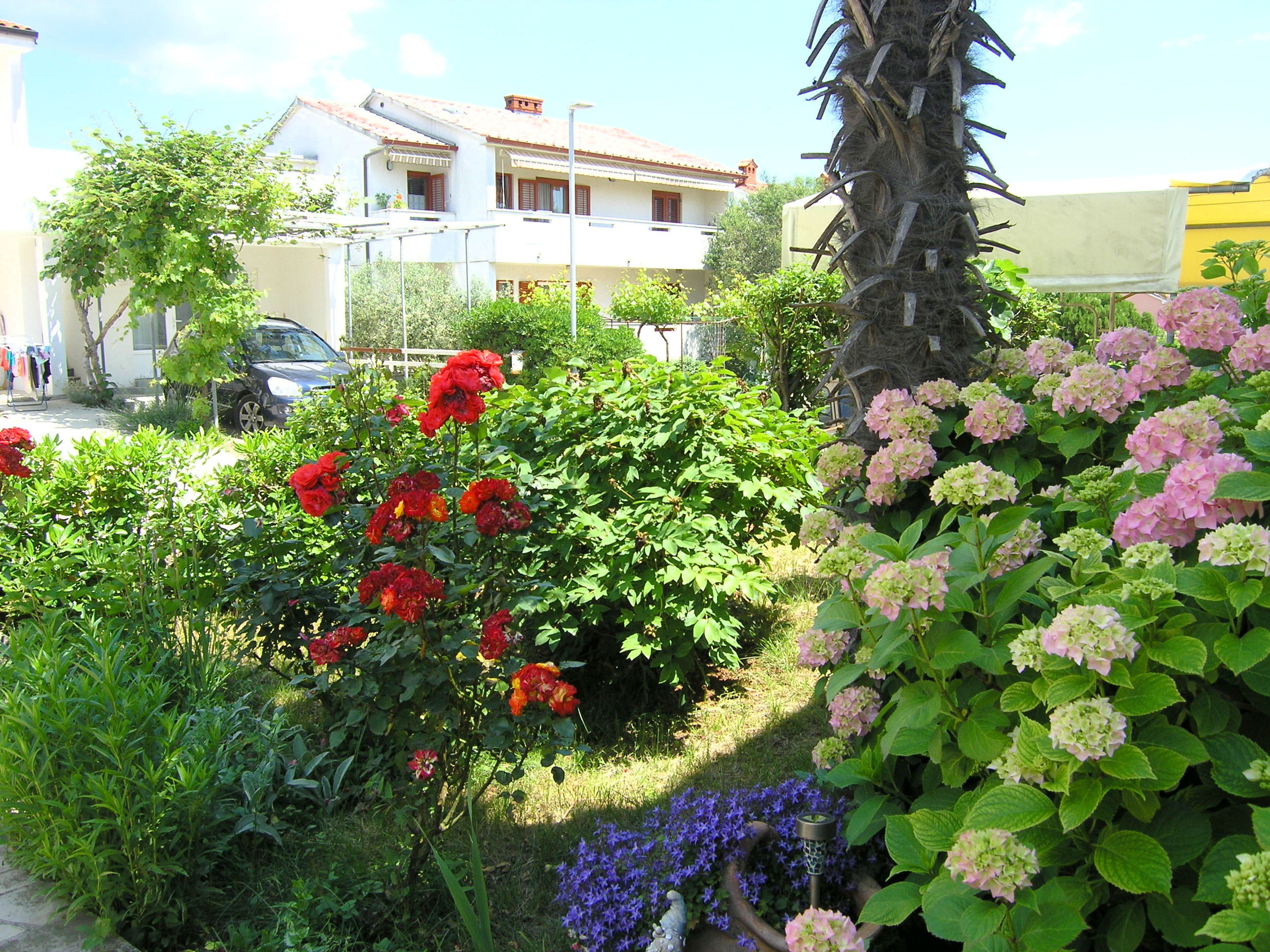 Apartment ZORA 15238-A1