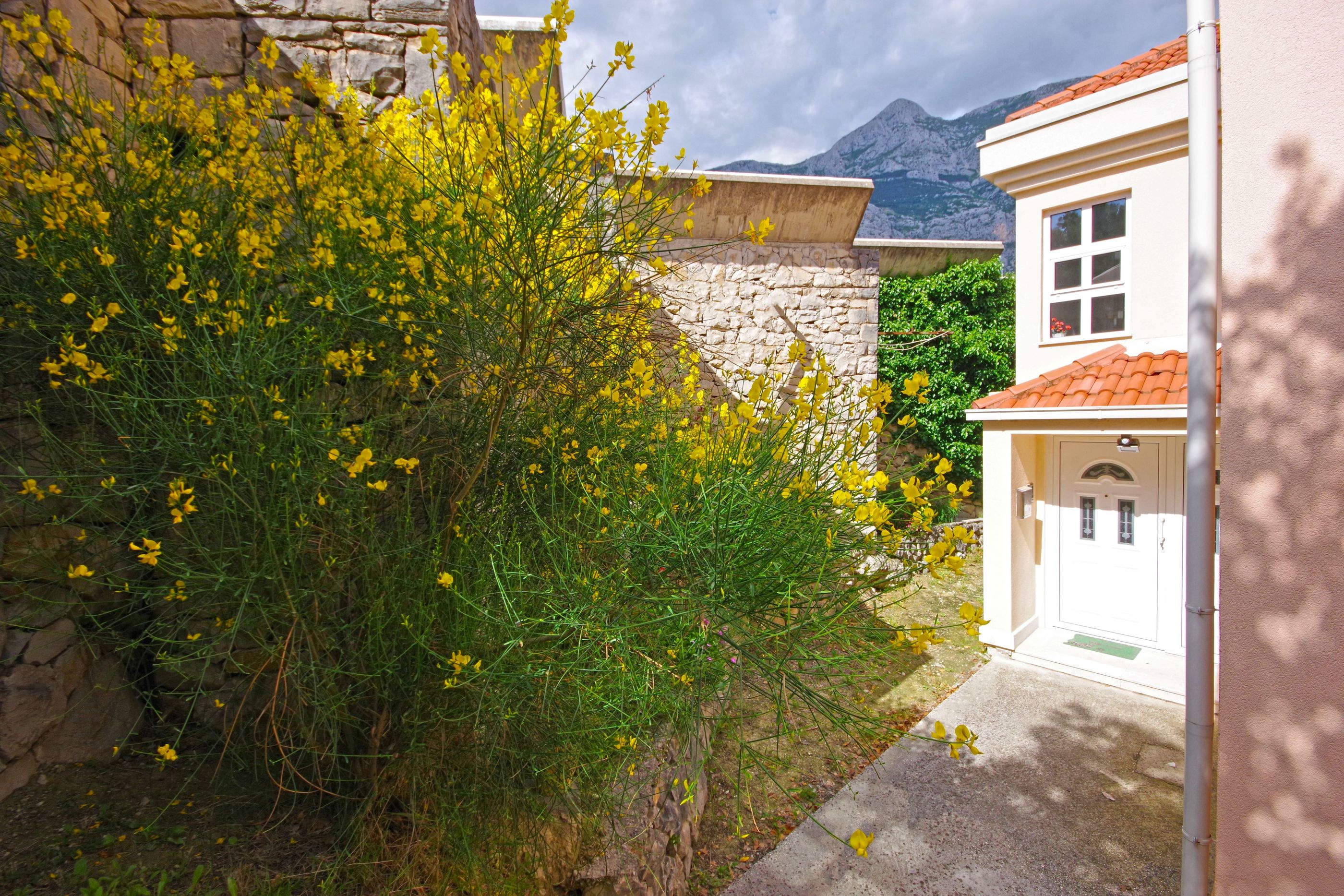 Apartments Vesna 36771-A2