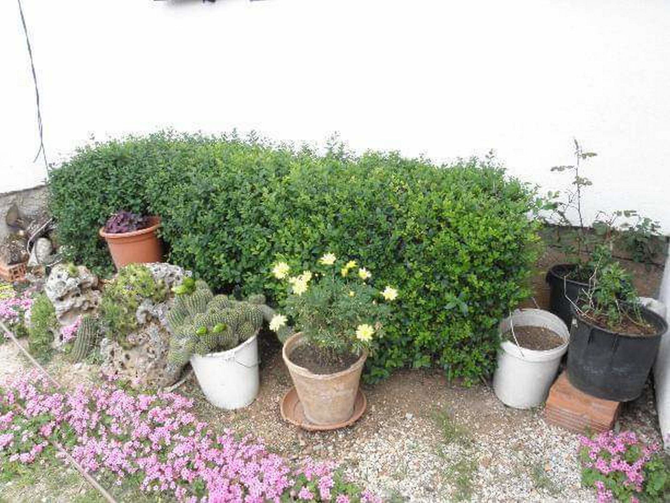 Photo of Apartment and Rooms Mila