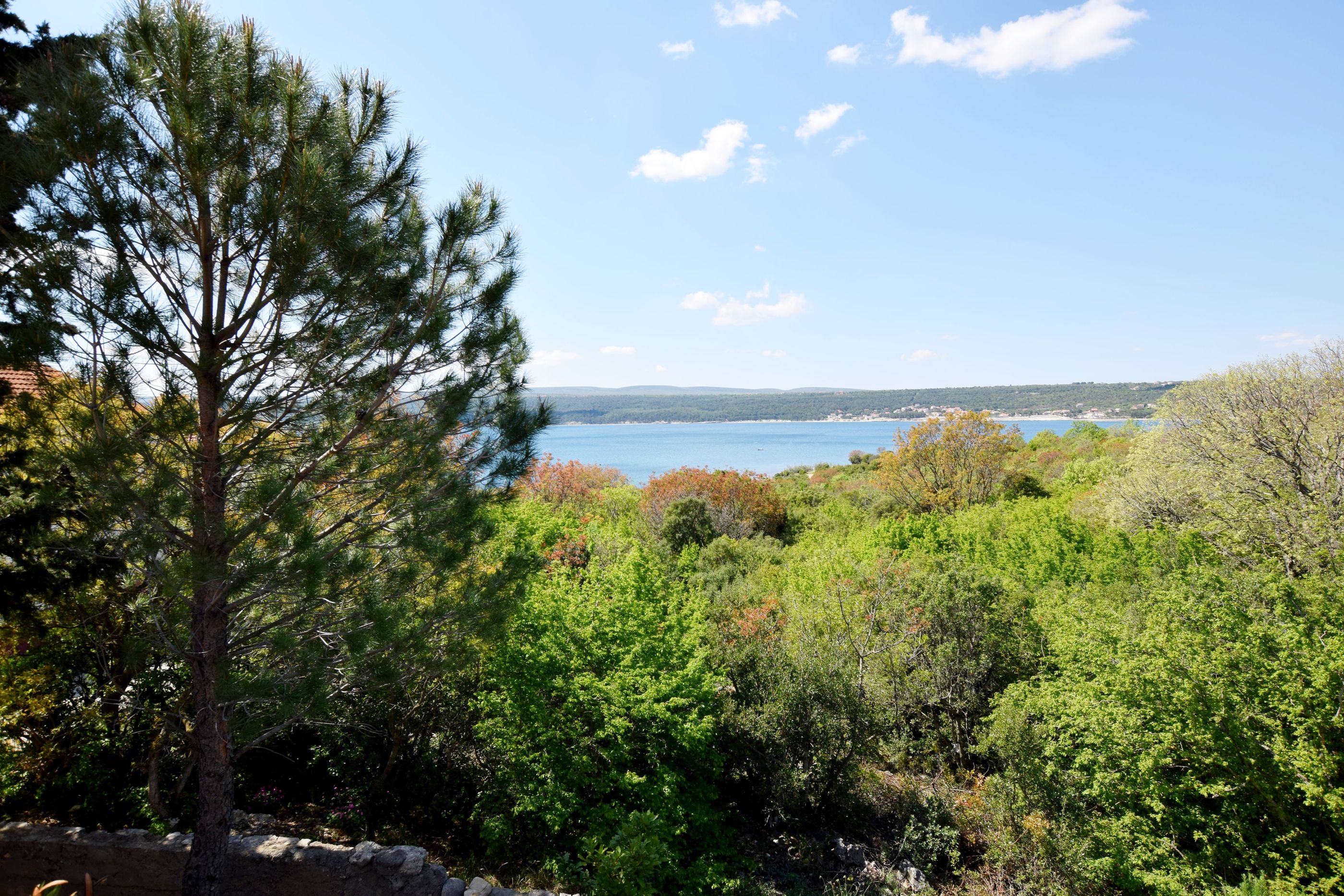 Apartment Lavanda 64291-A1