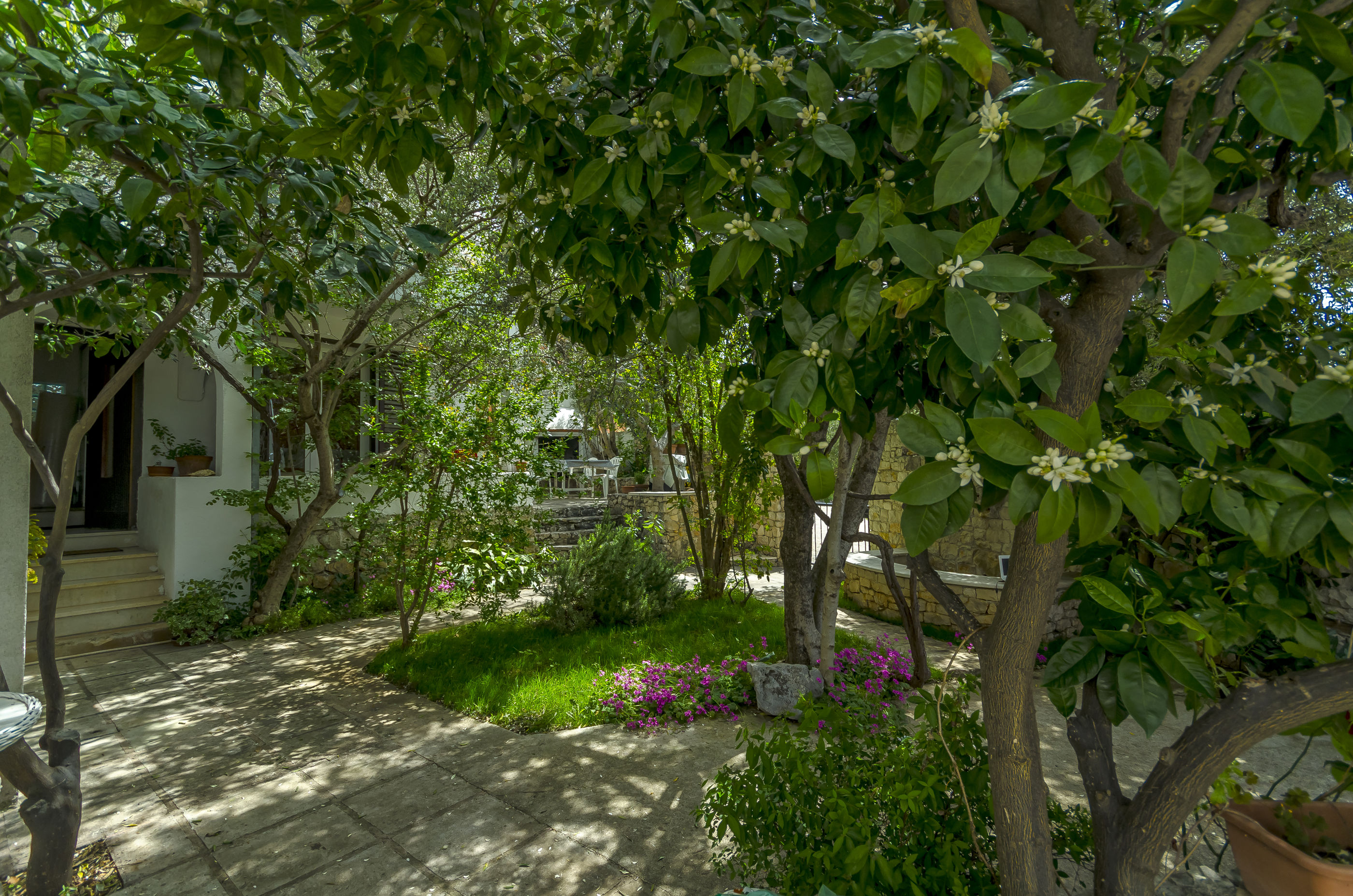Apartment Dory 56241-A1