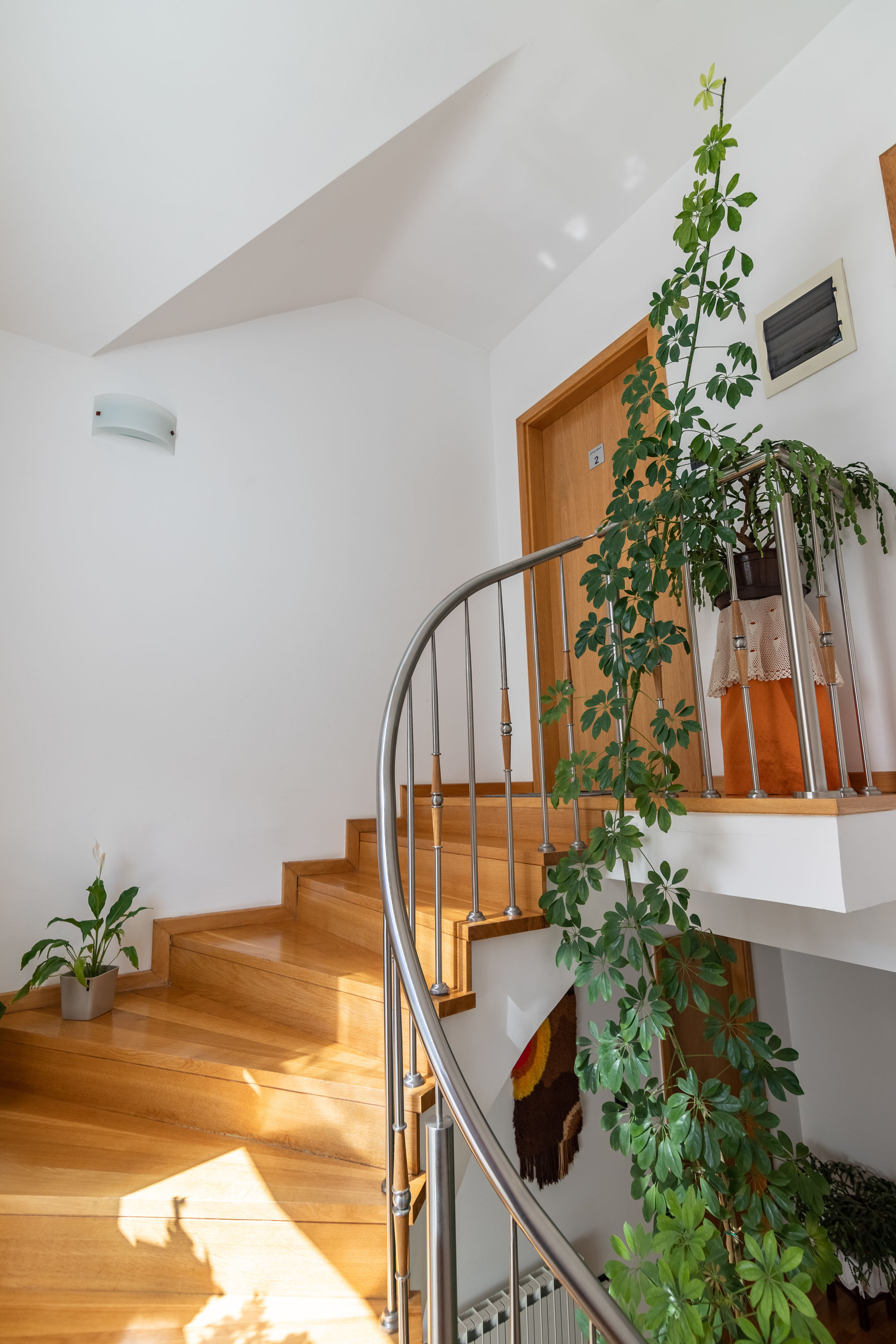 Apartments and Room Robert 80821-A1