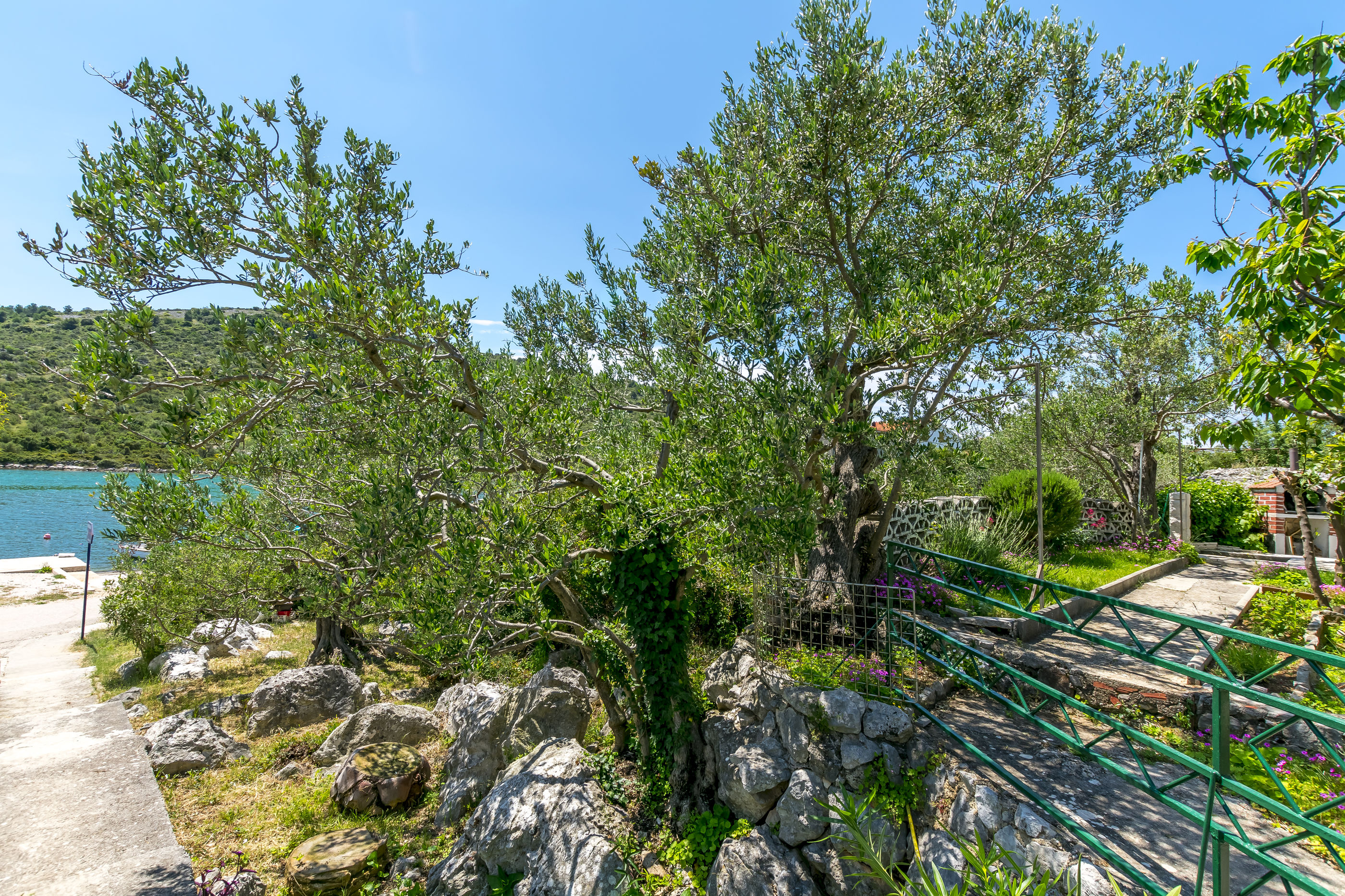 Apartment Garden by the sea 66961-A4
