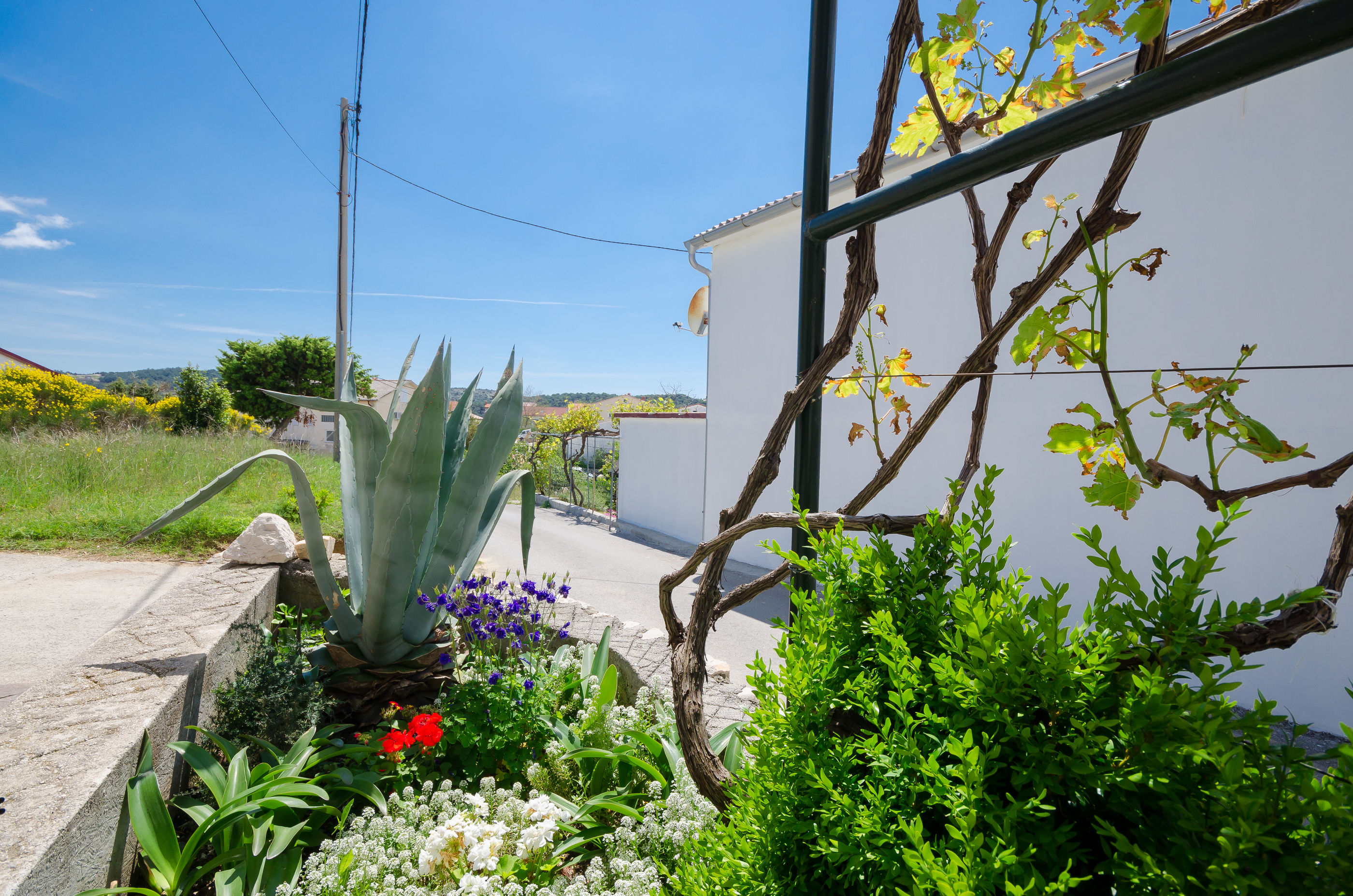 Photo of Apartments Slobodanka