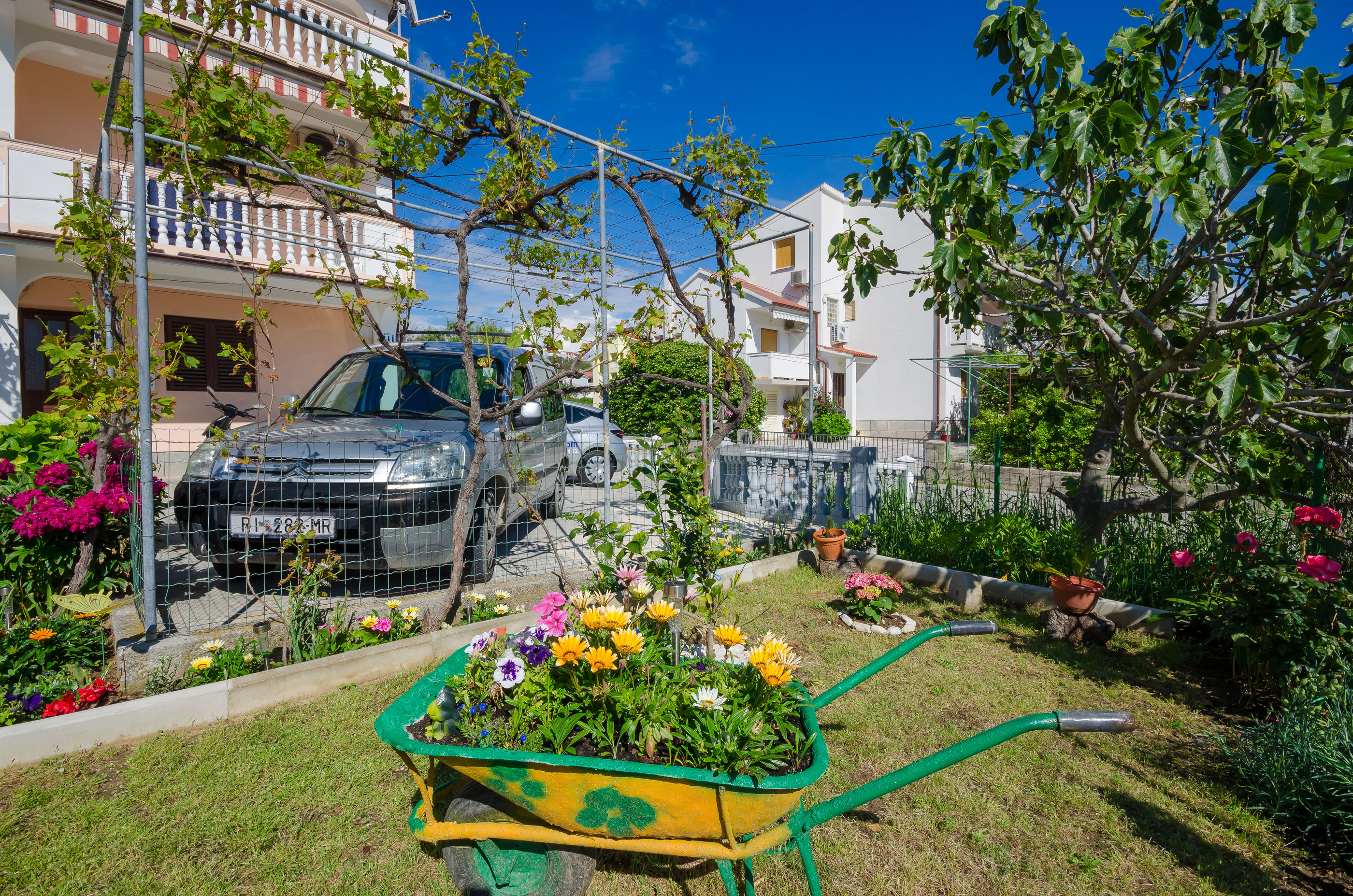 Apartment Branko 65231-A1