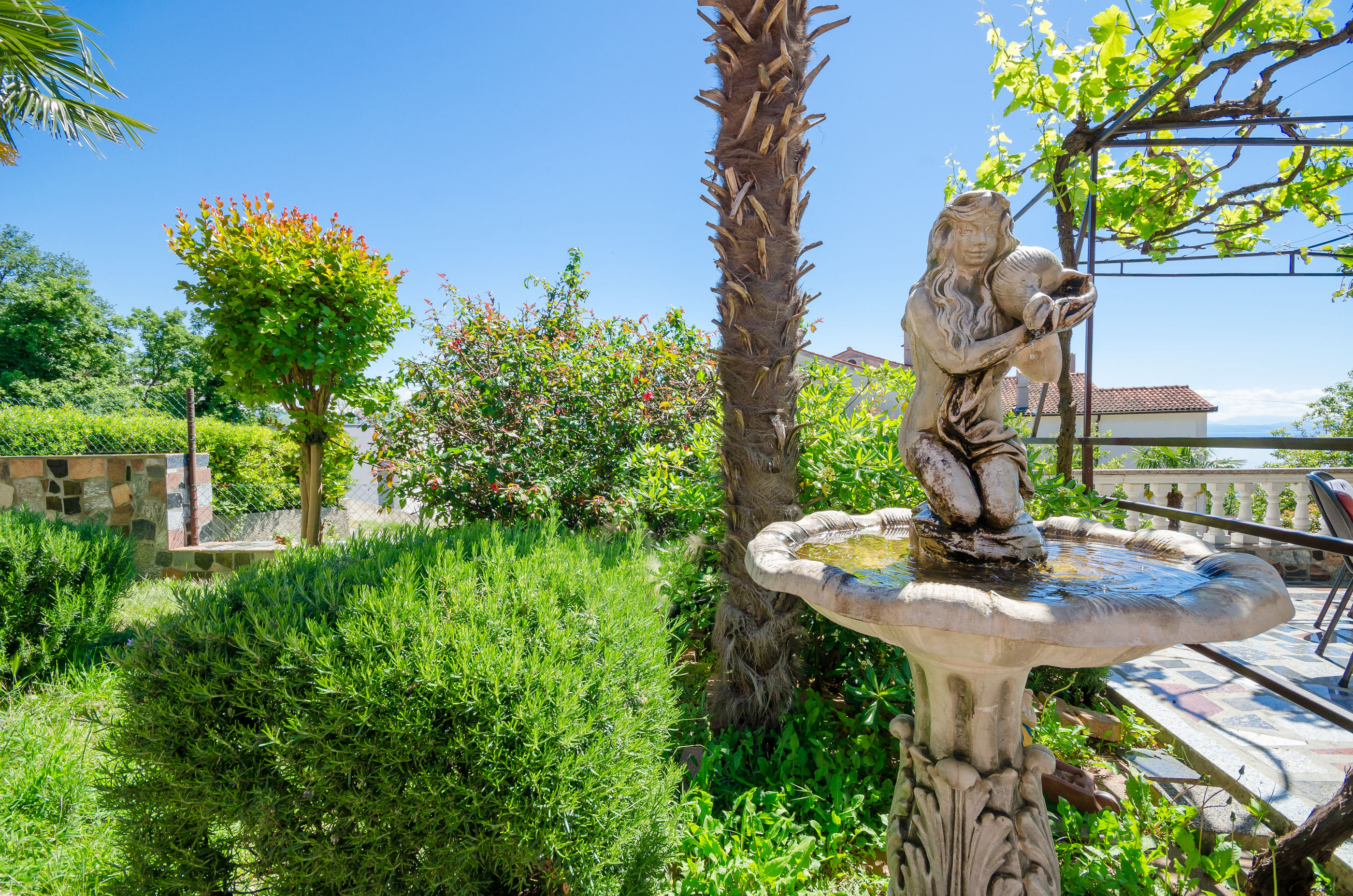 Photo of Apartments Zeljko