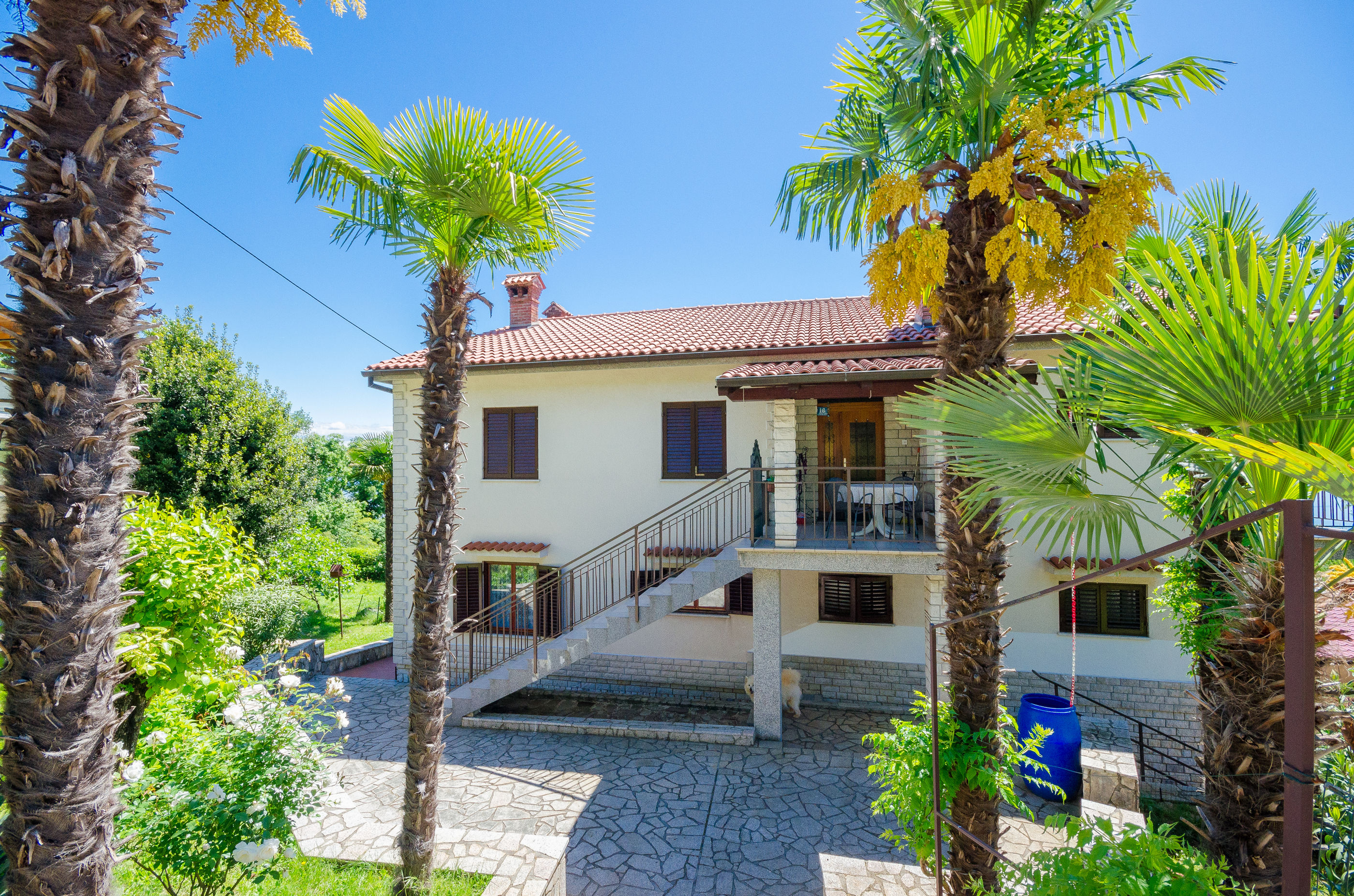 Apartments Zeljko 86741-A1