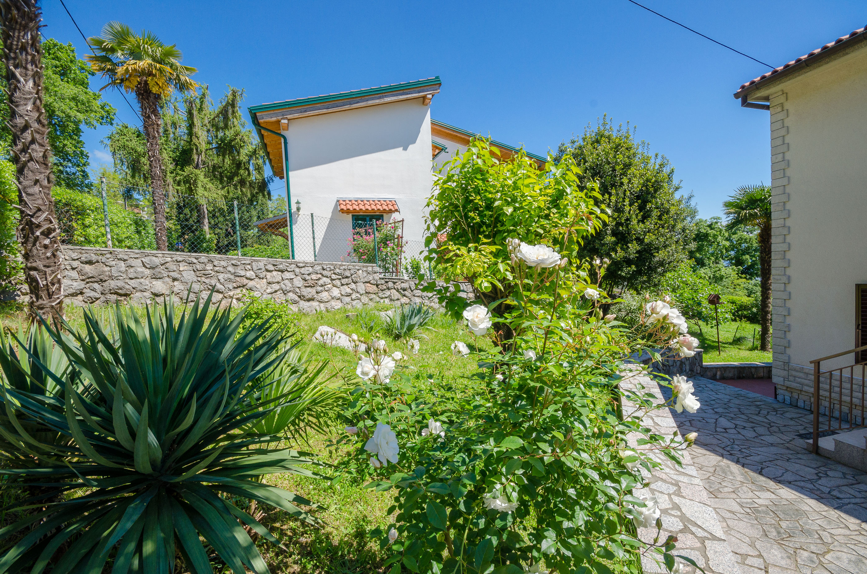 Photo of Apartments Zeljko