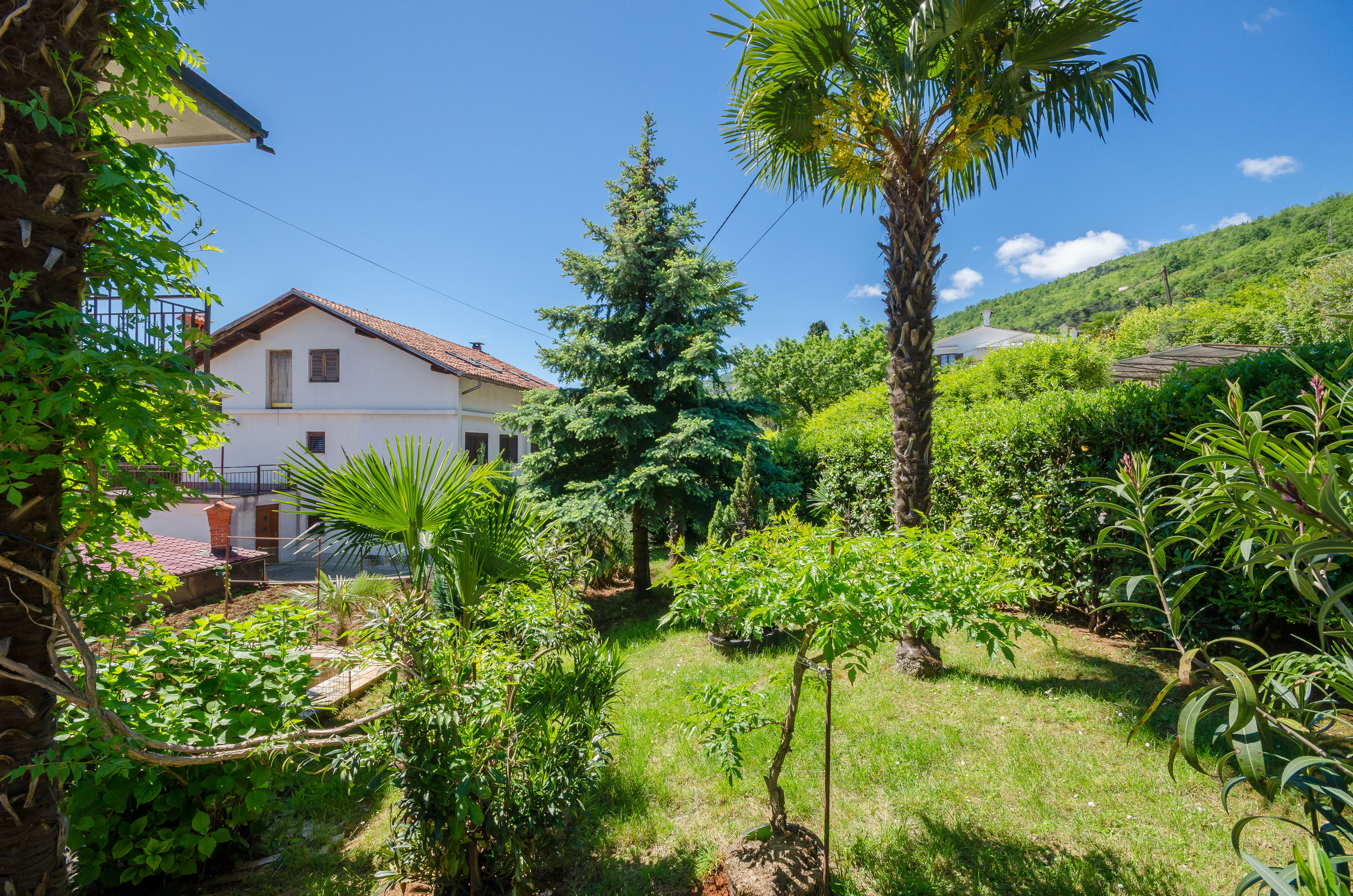Apartments Zeljko 86741-A1
