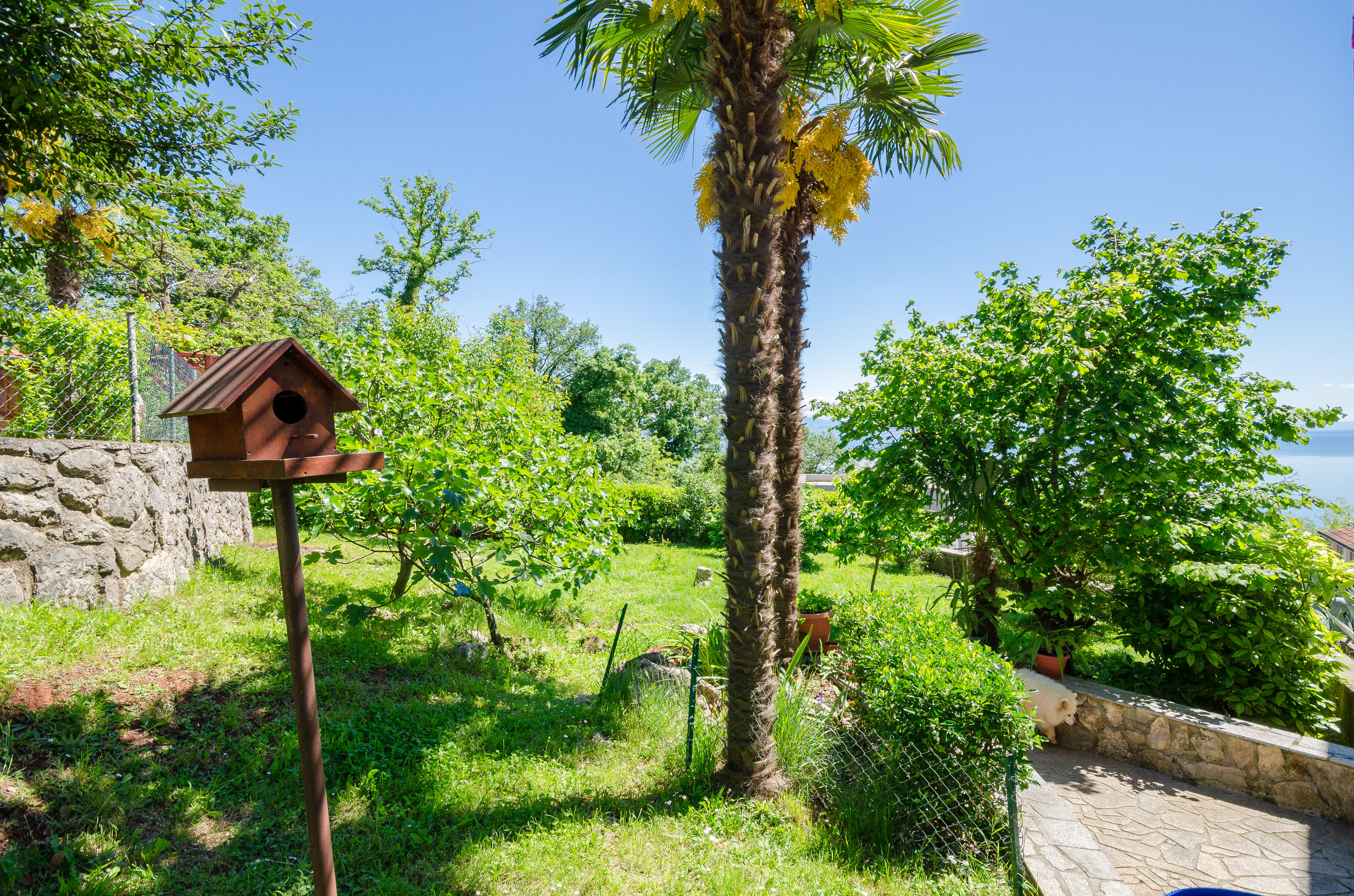 Photo of Apartments Zeljko