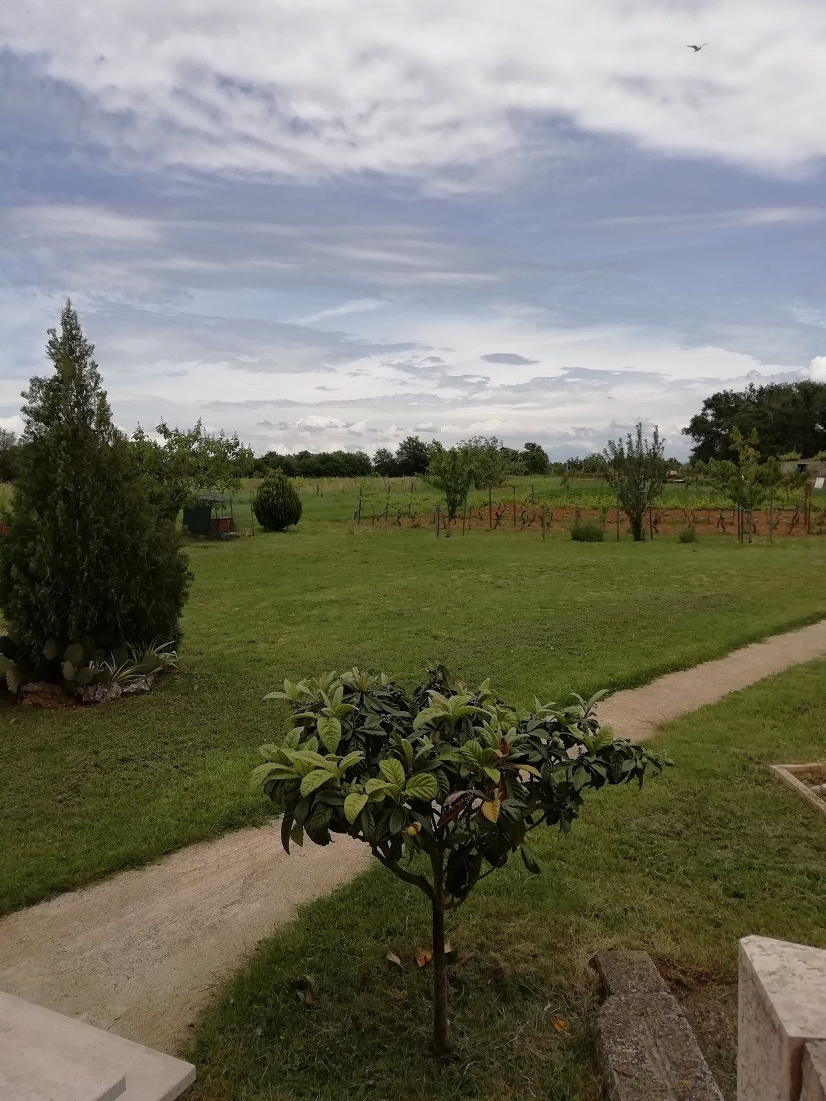 Casa Rossa 16545-A1