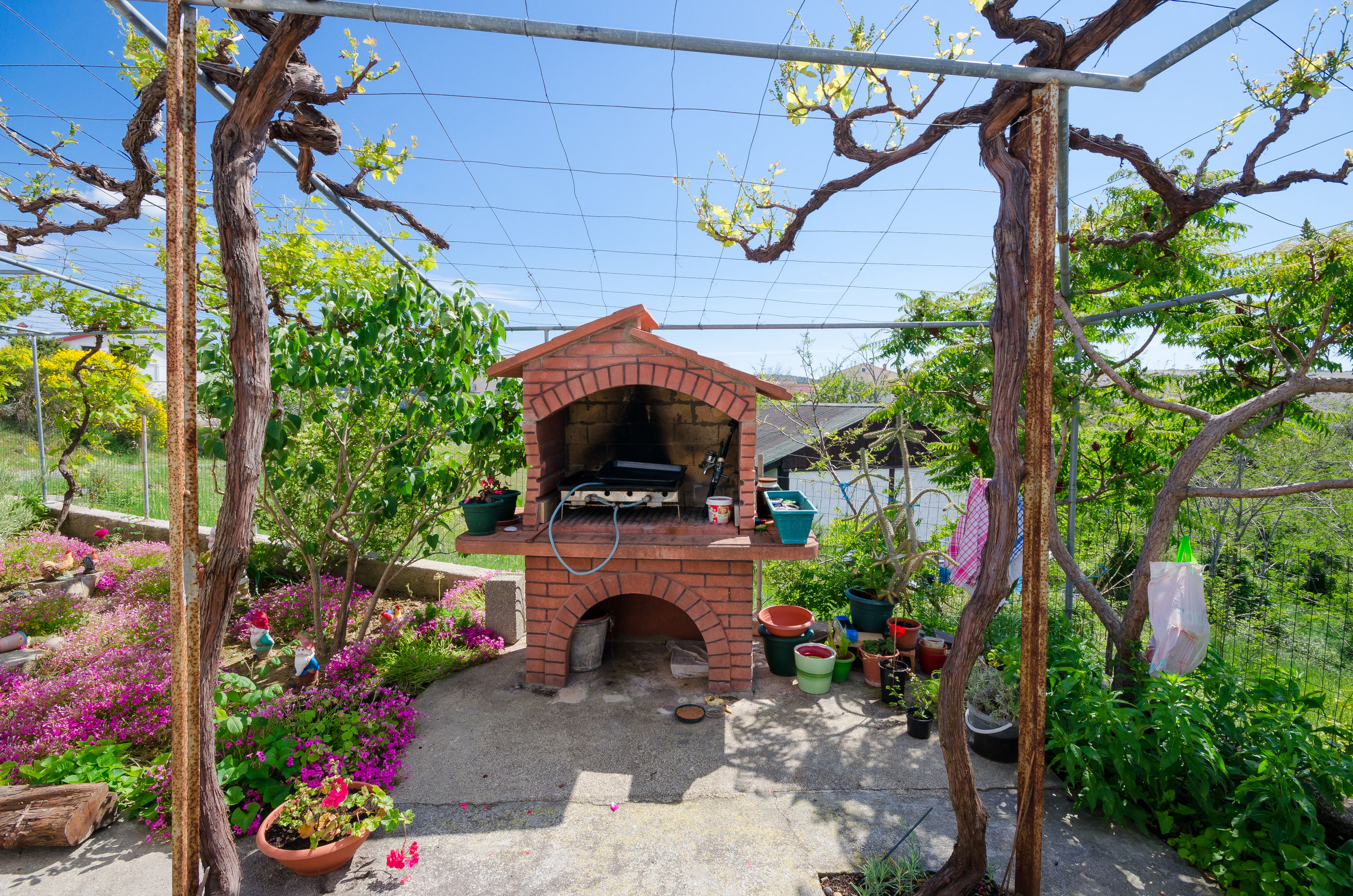 Photo of Apartment BigTerrace