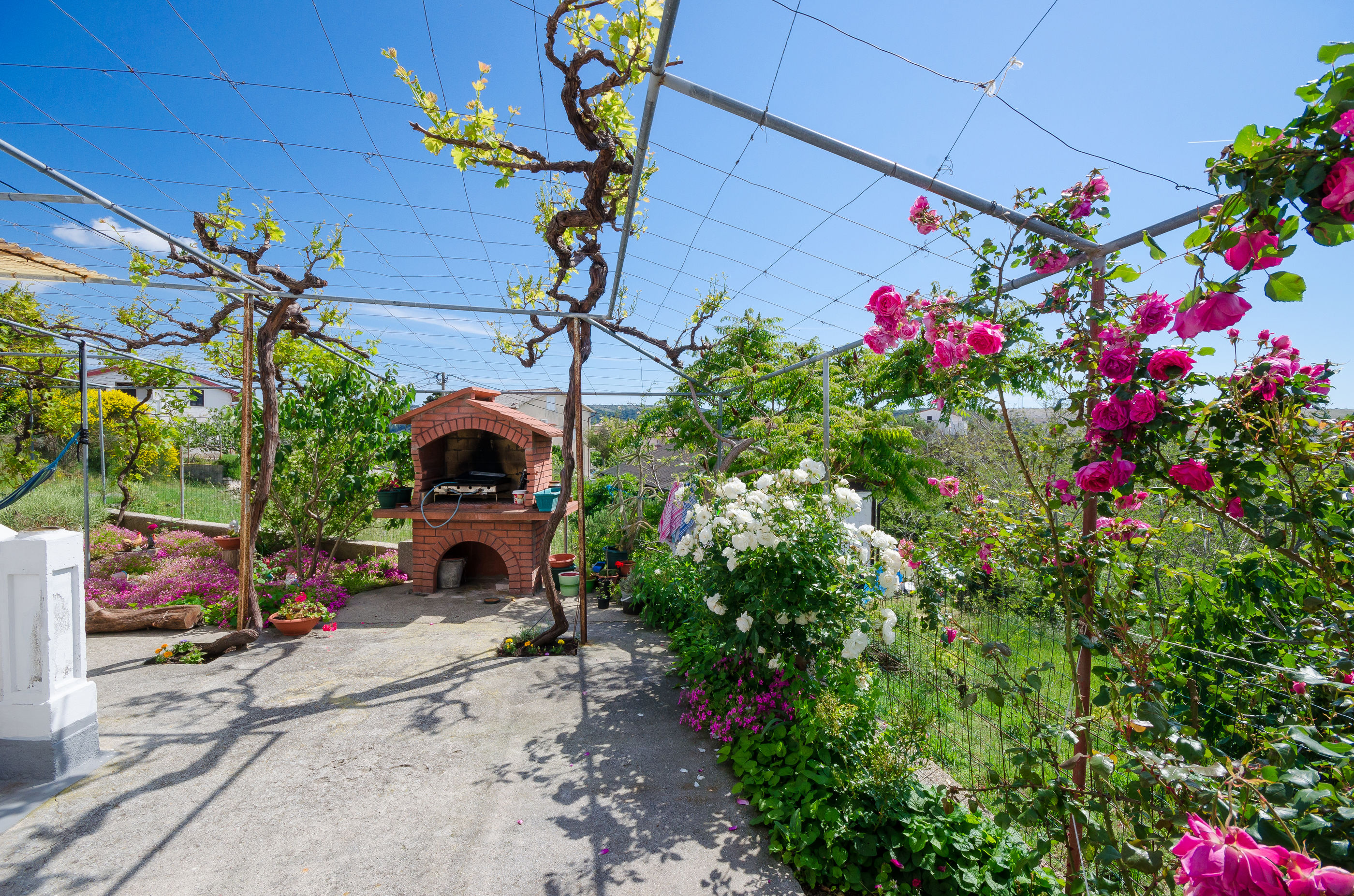 Photo of Apartment BigTerrace