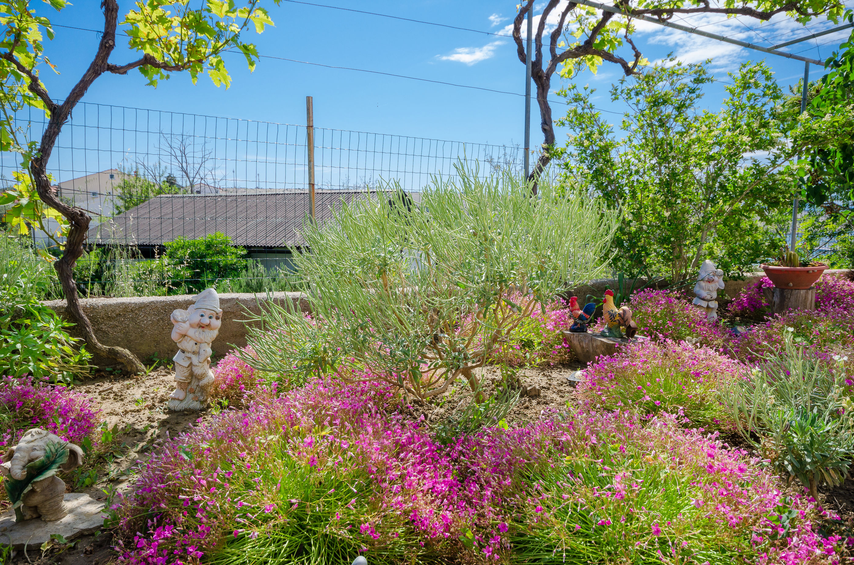 Photo of Apartment BigTerrace