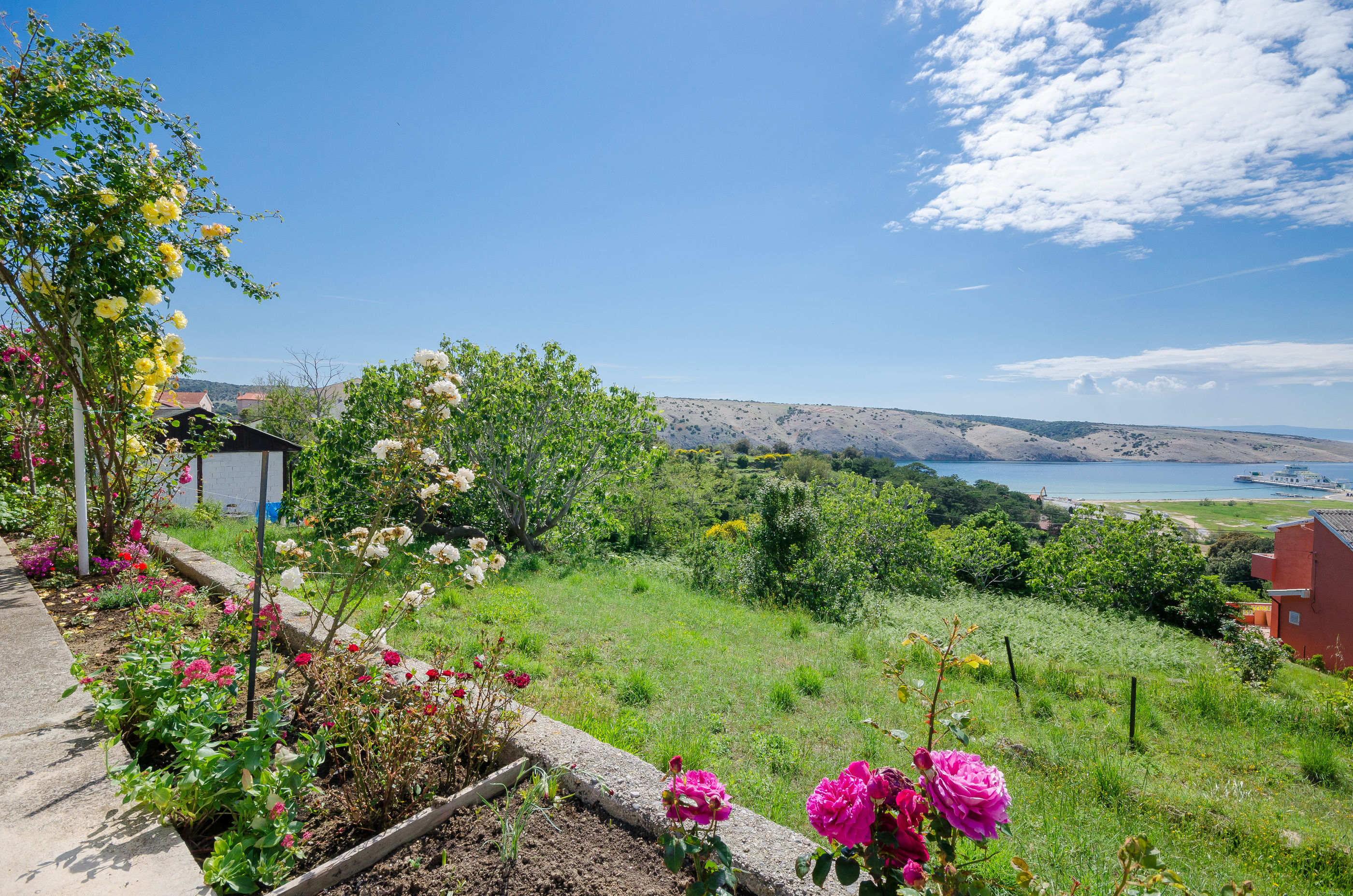 Photo of Apartment BigTerrace