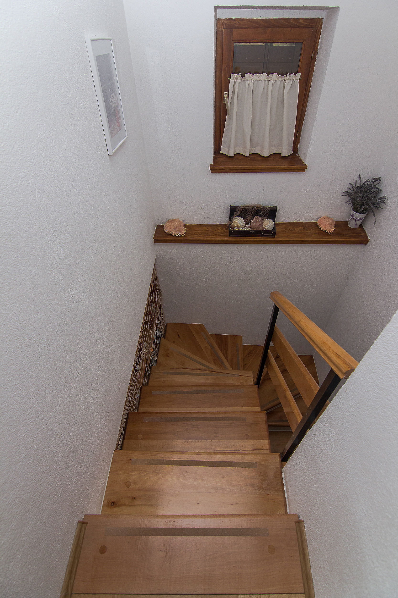 House Olive 67211-K1