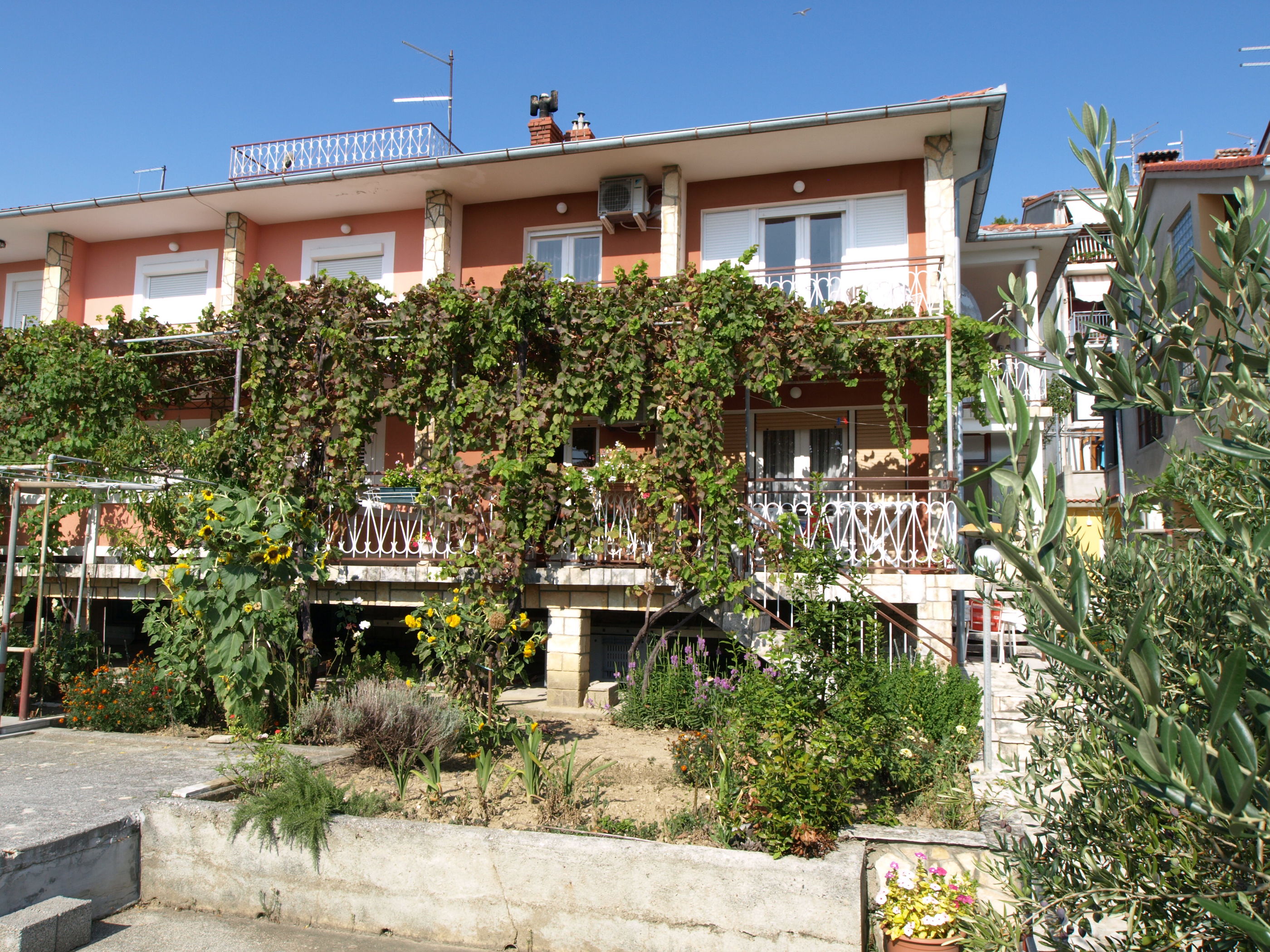 Apartments DARINKA BEG Accommodation in Rab