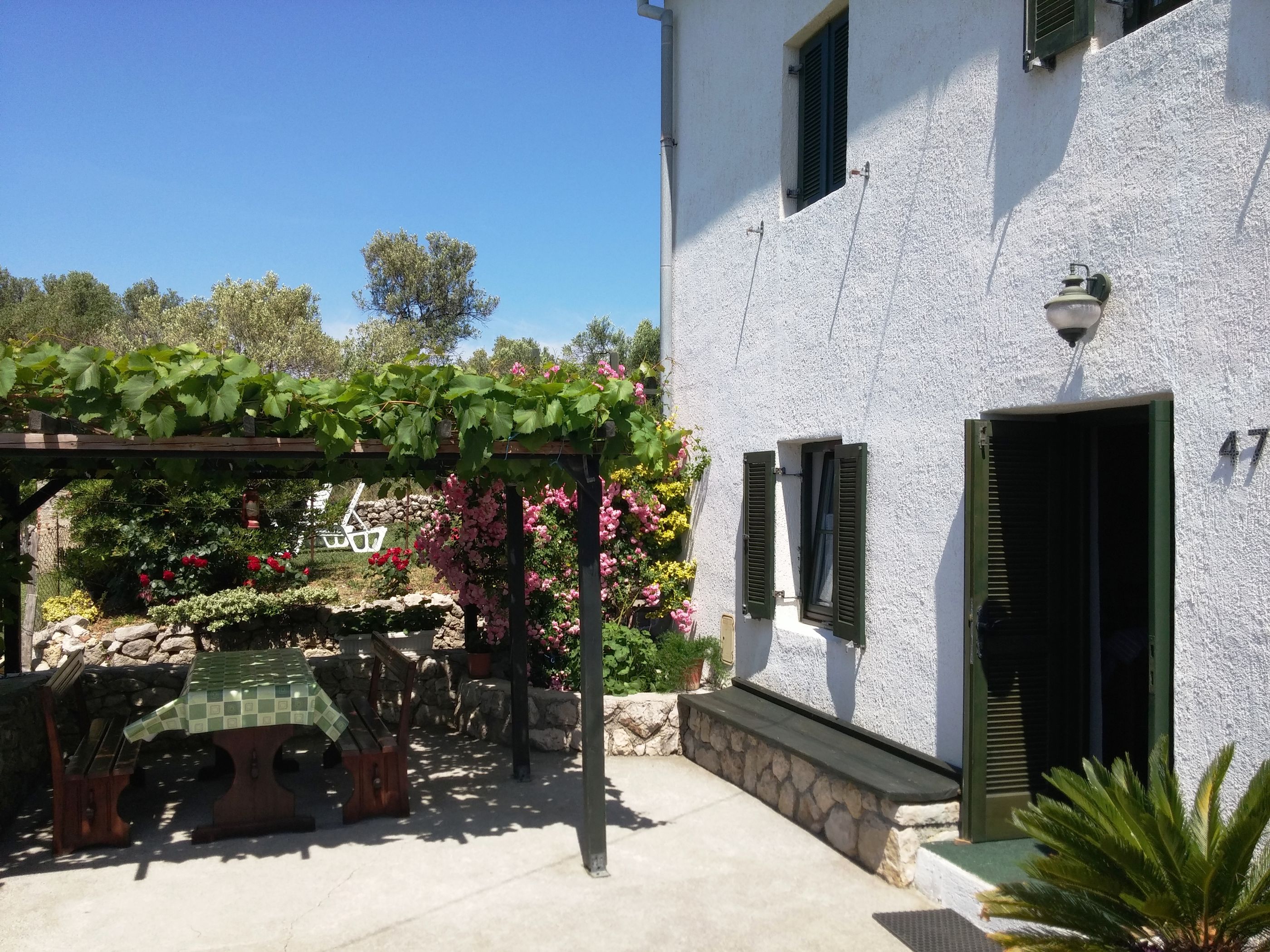 Photo of House Viskić