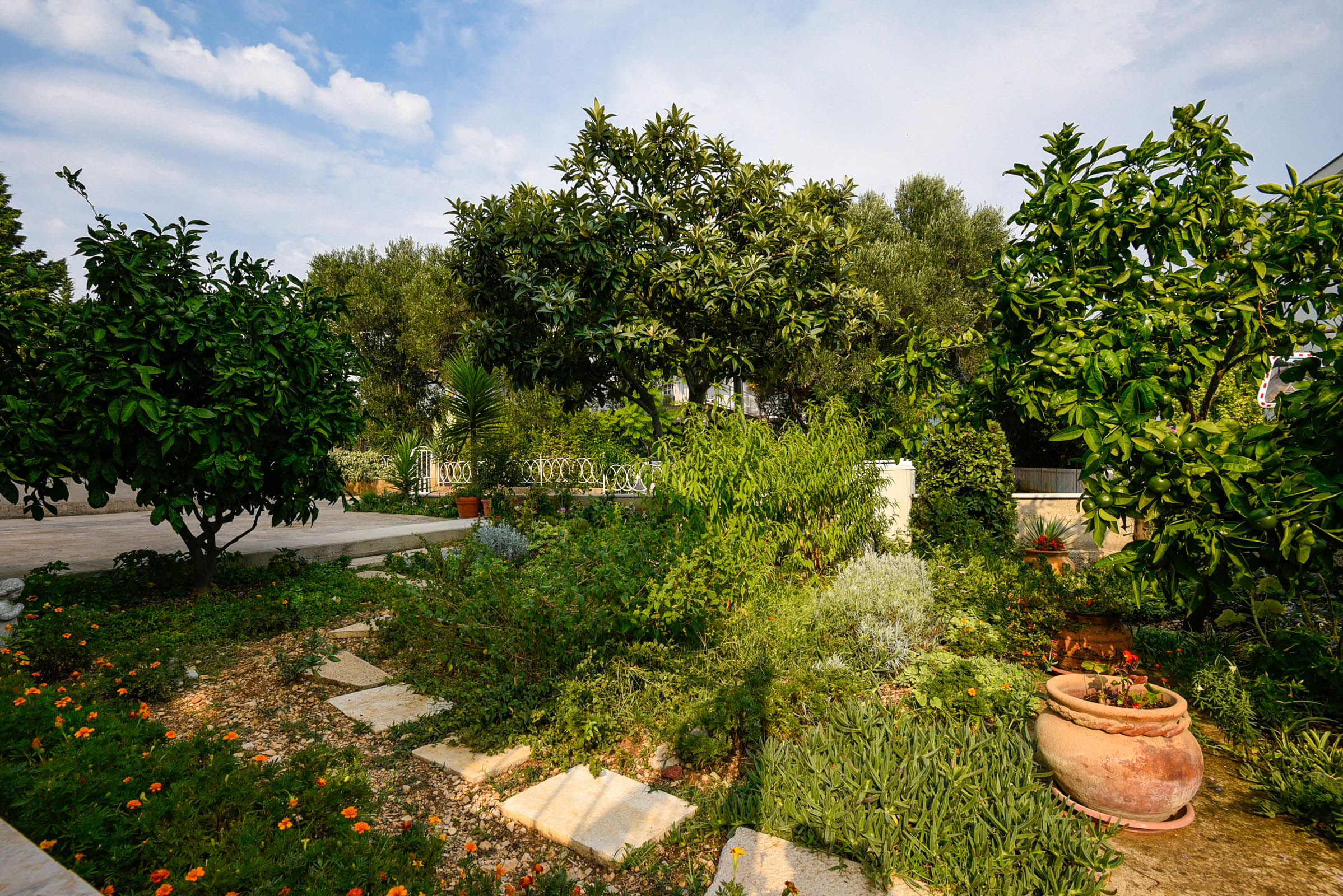 Apartments Andrija 59582-A1