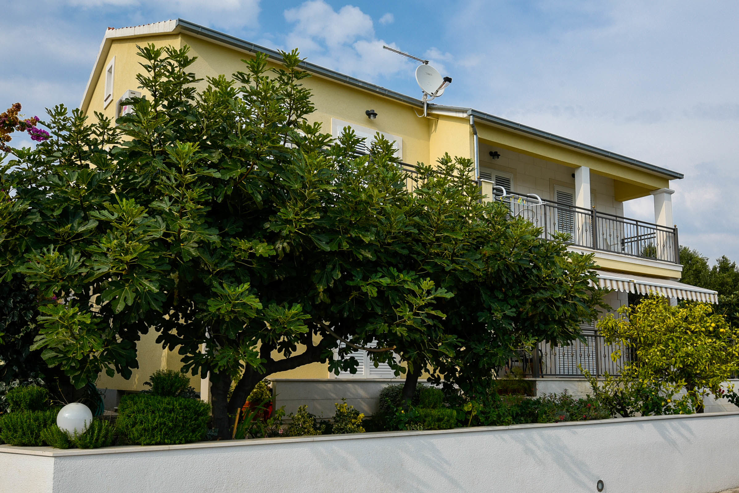 Apartments Andrija 59582-A1