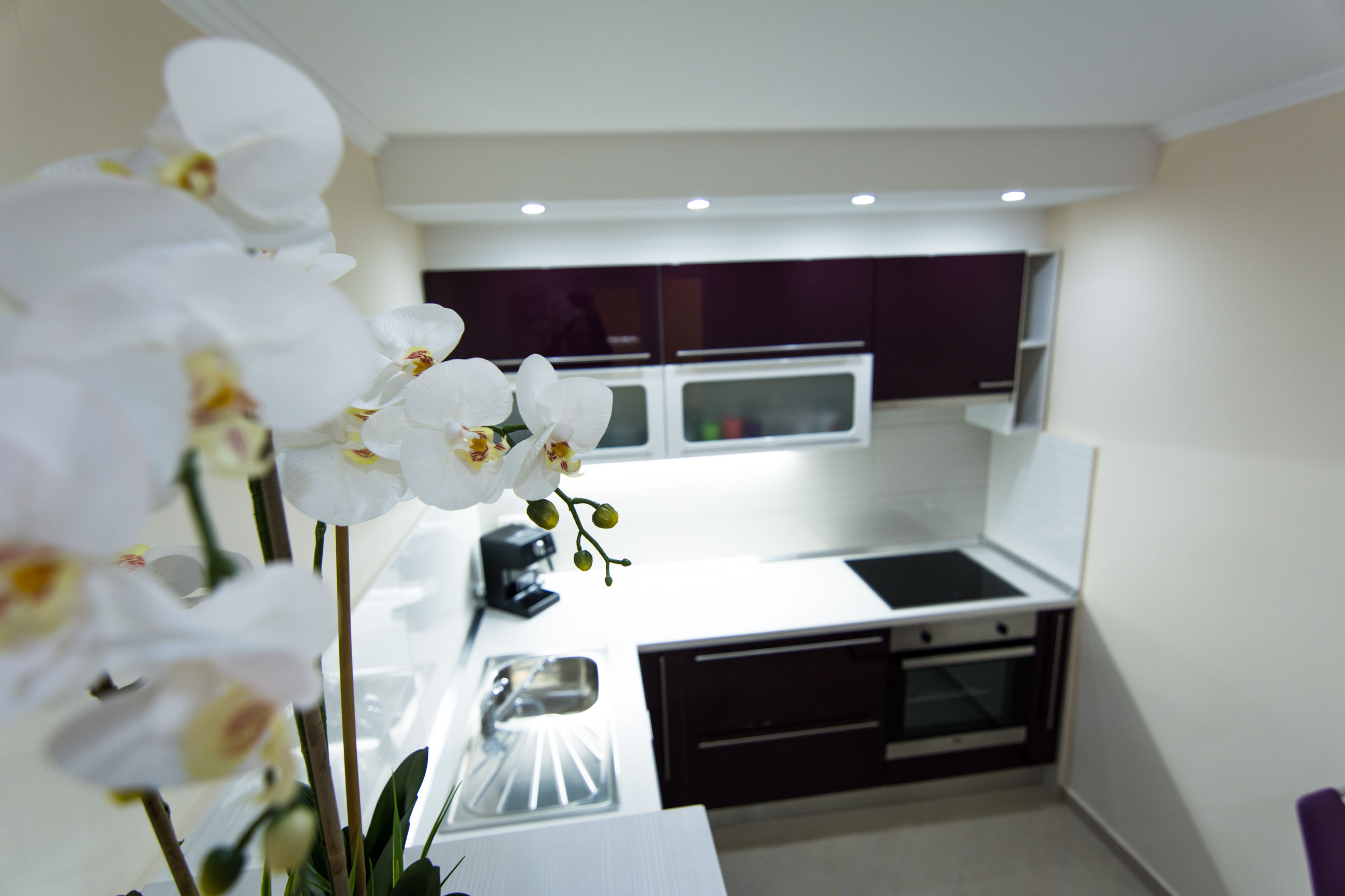 Apartment Songbird Accommodation in Biograd