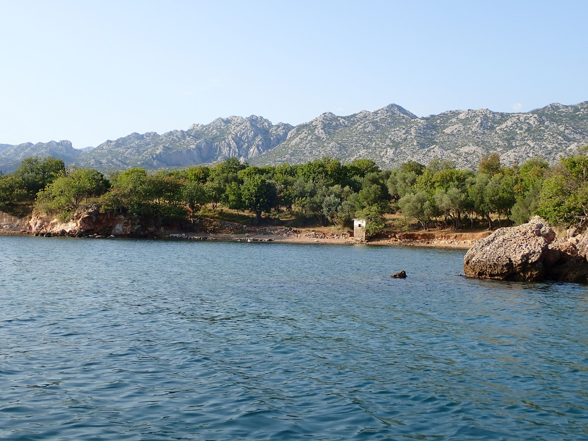 Photo of Apartment Mariva