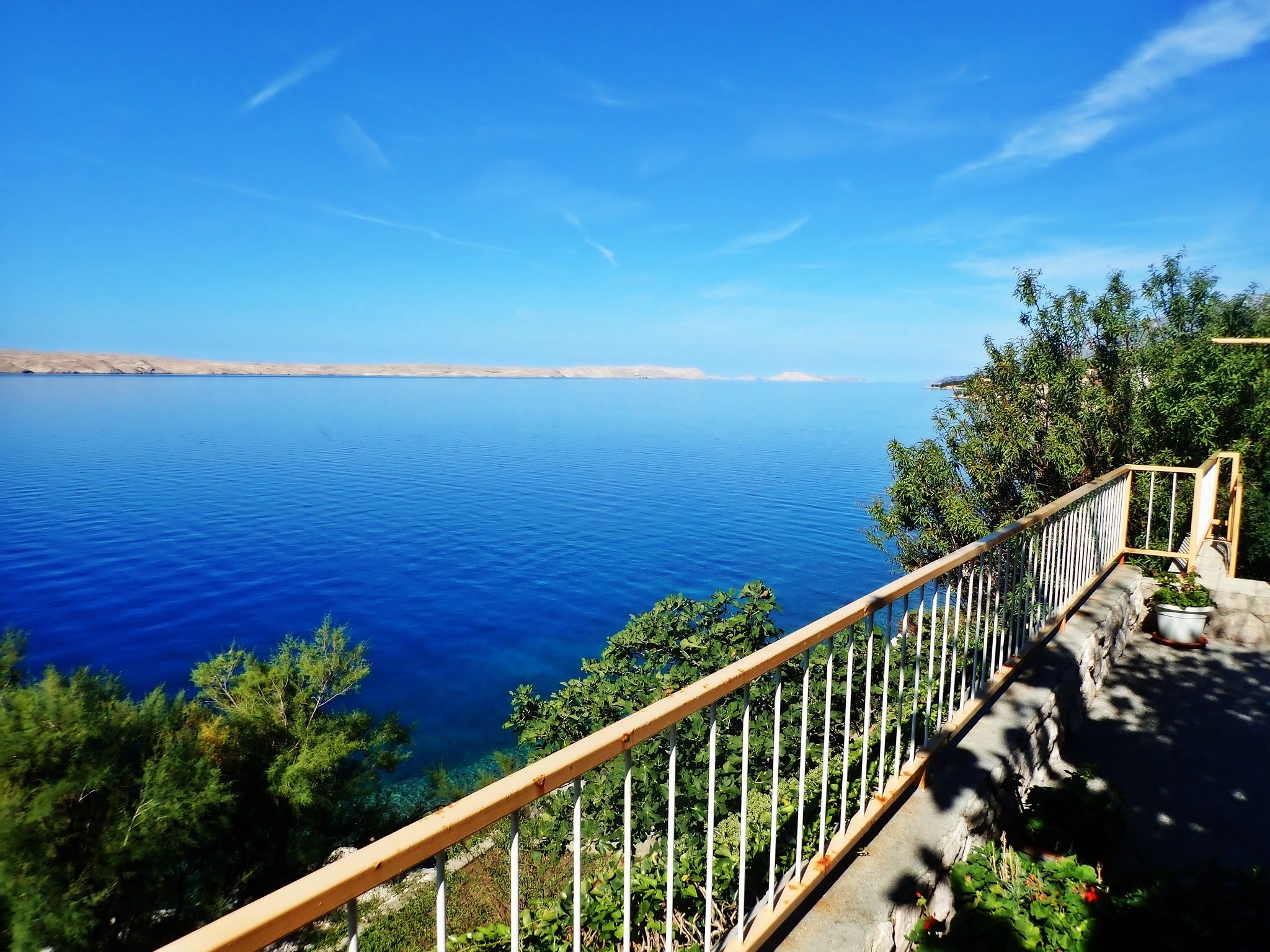 Apartment Jela-on the seafront 58491-A1