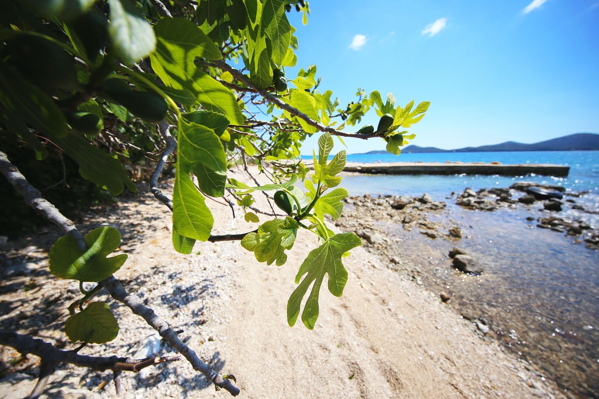 Photo of Mobile home Frangipani 4