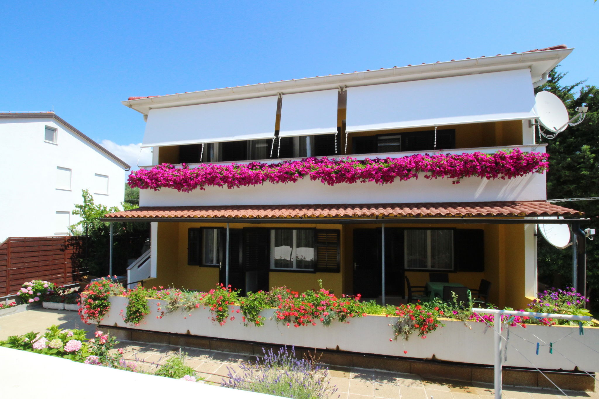 Apartments Capic Pescivica 69013-A3