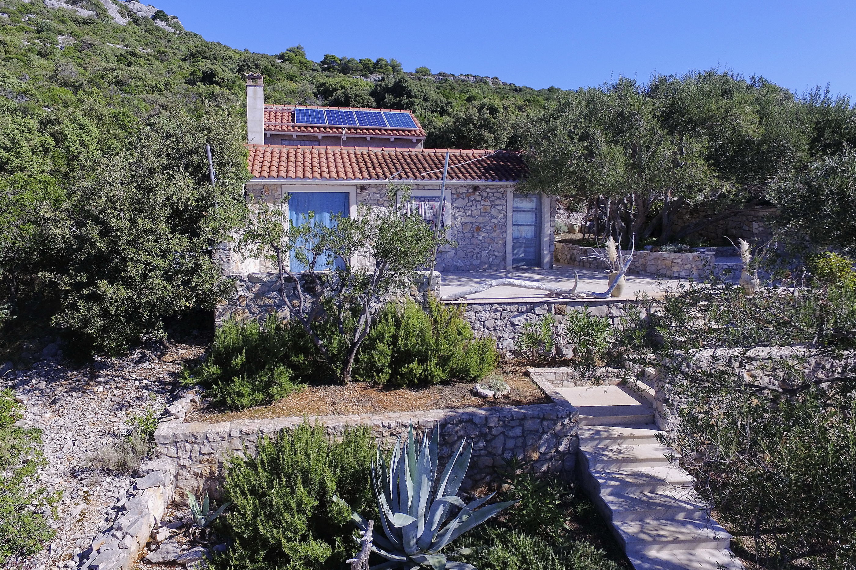House Lemon Tree 14615-K1