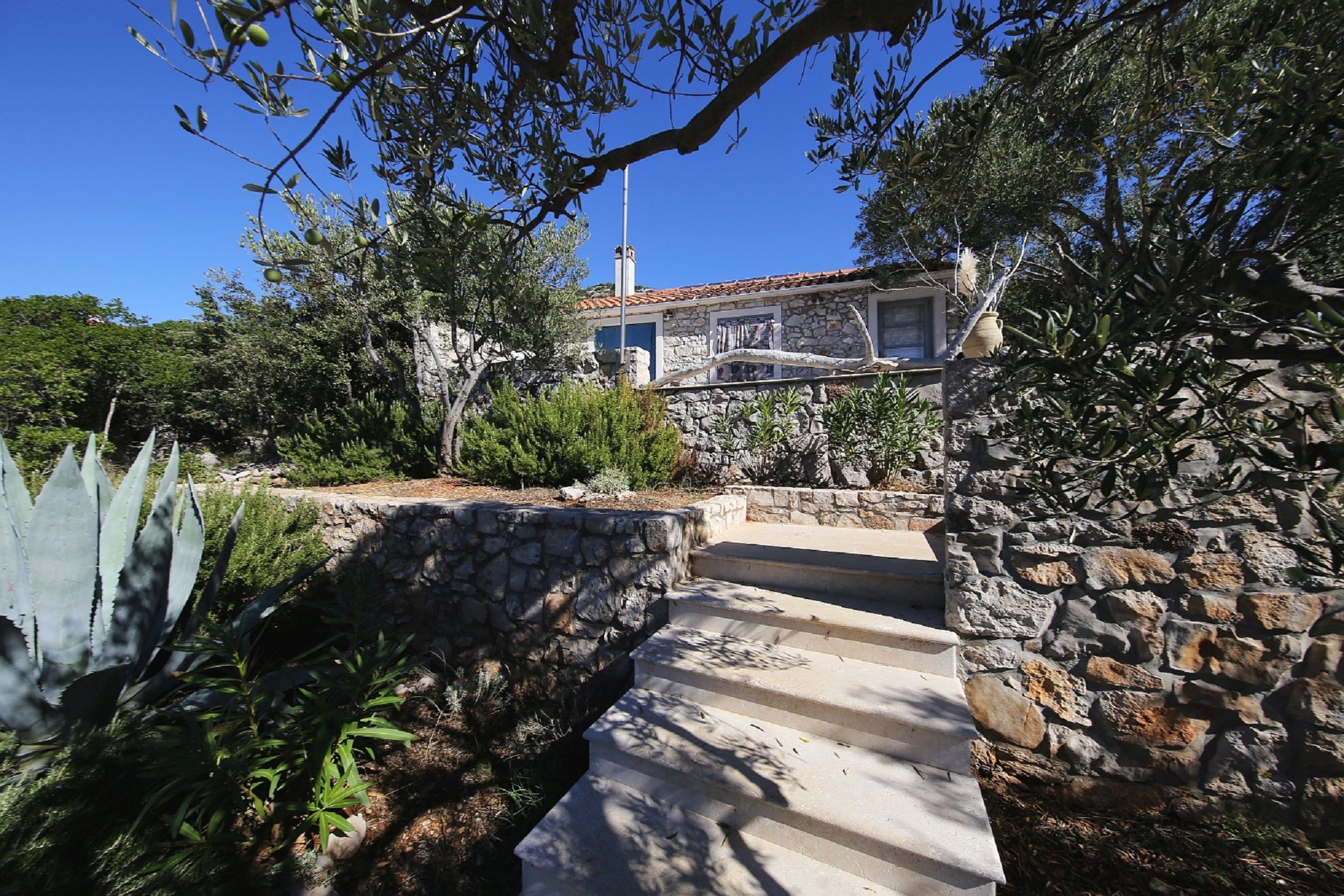 House Lemon Tree 14615-K1