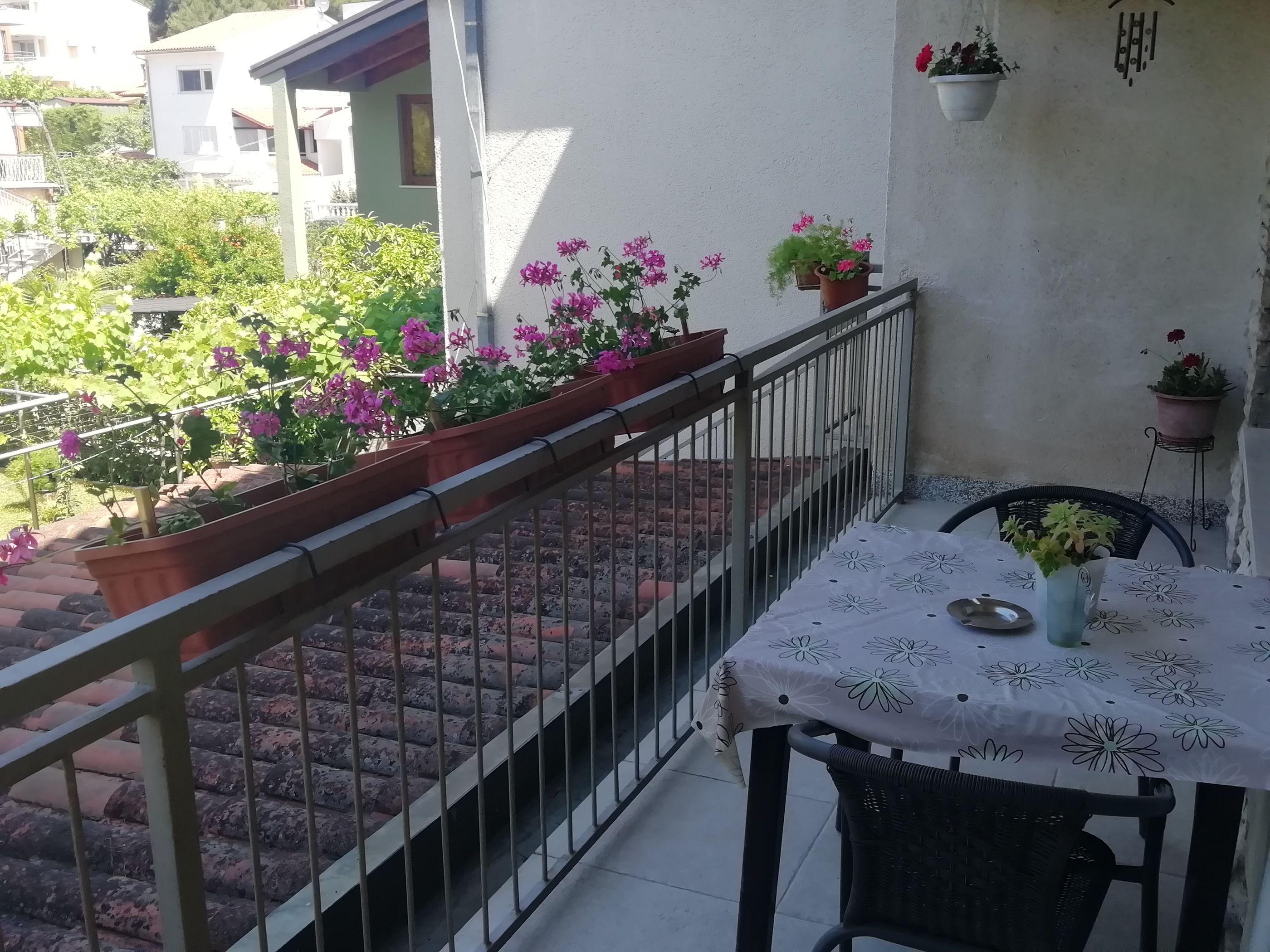 Apartments Jadranka 12191-A2
