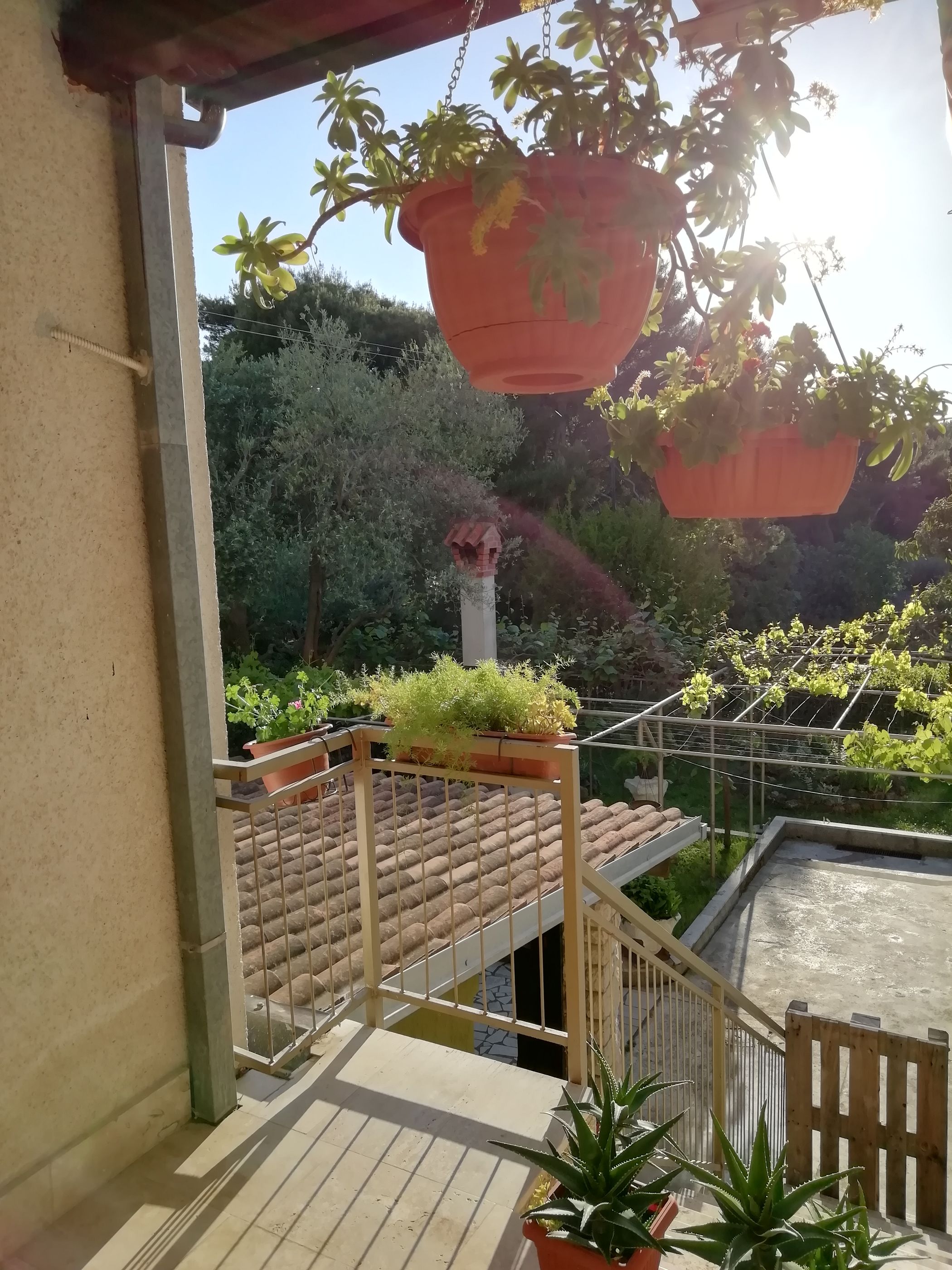 Apartments Jadranka 12191-A1