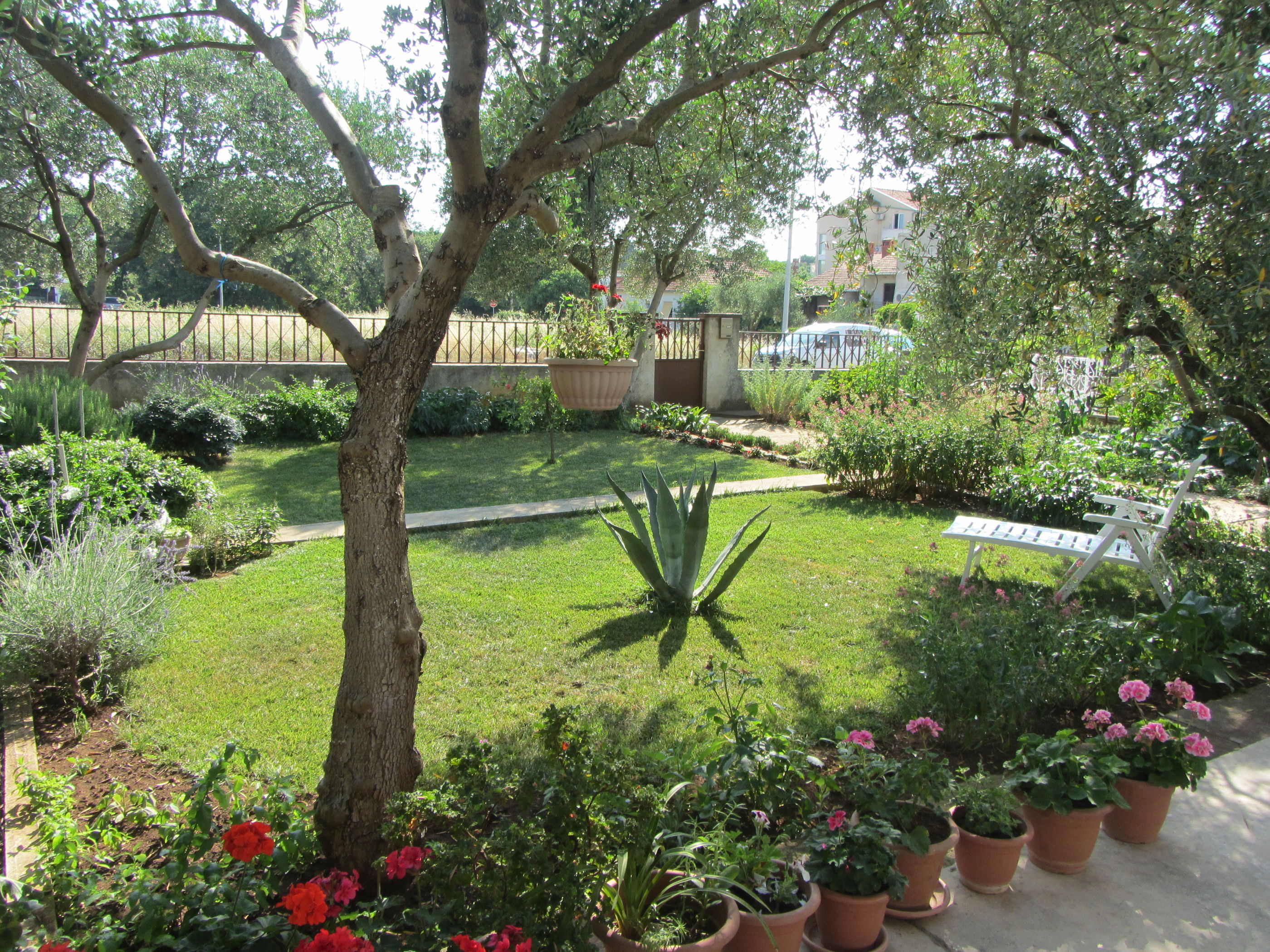 Apartments Mactra 14664-A1