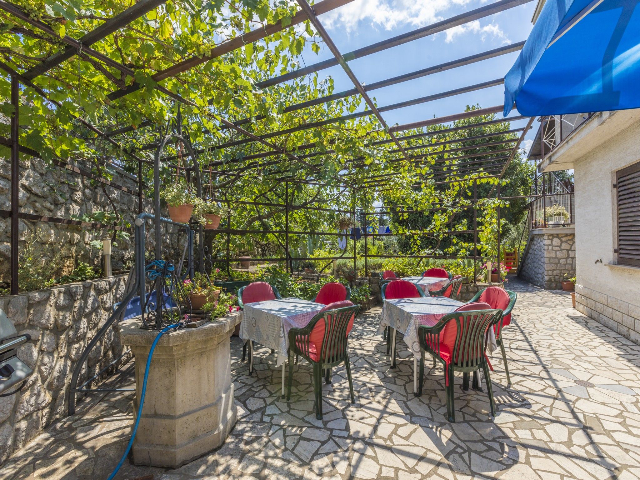 Apartment Zeljka 62589-A1