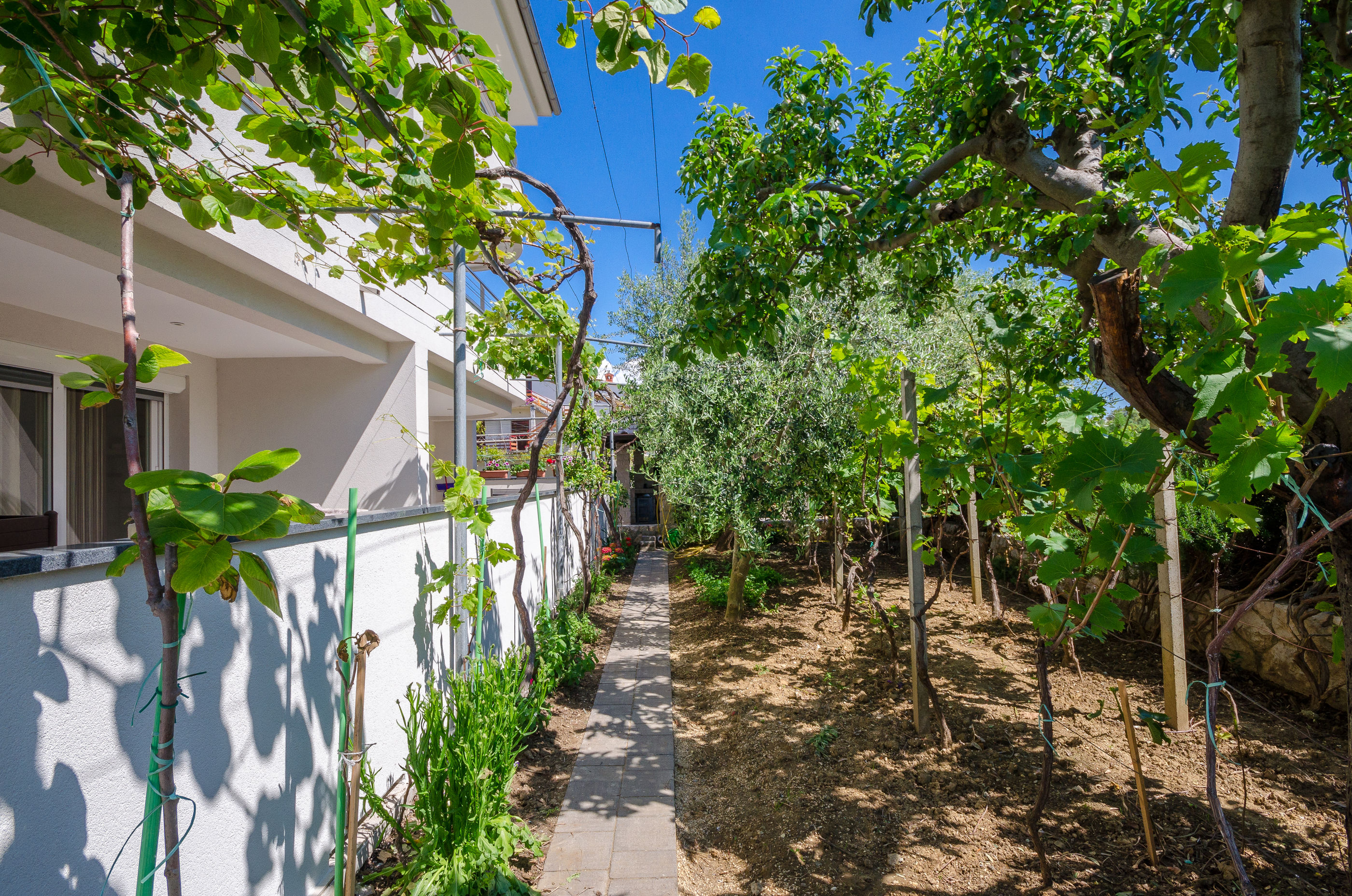 Apartments Zorka 86941-A4