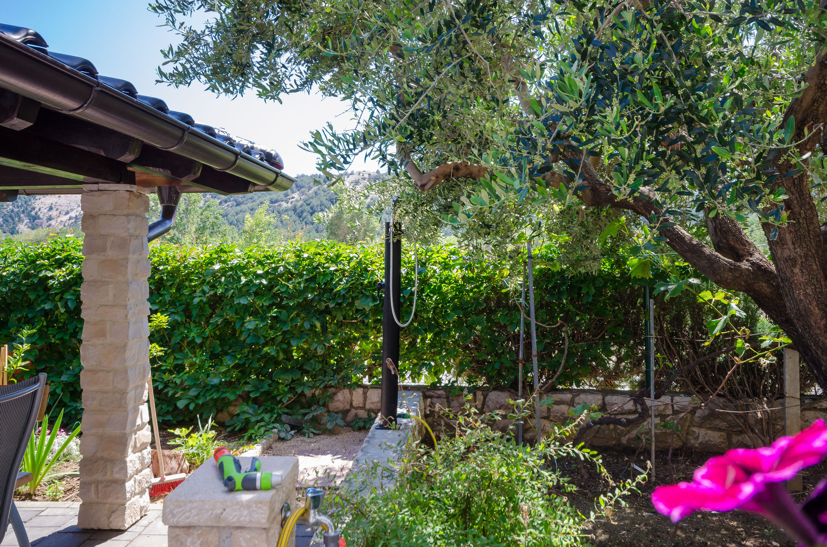 Photo of Apartments Zorka