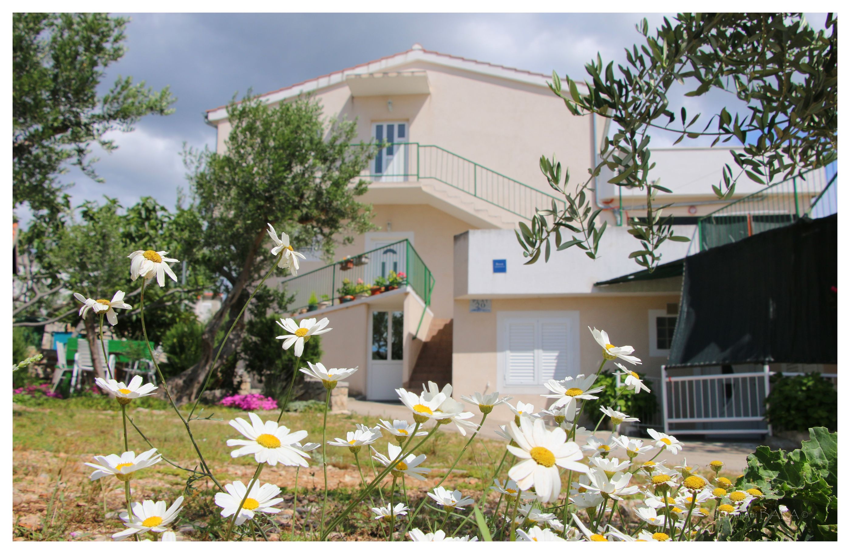 Apartments and Room Janja 50381-A2