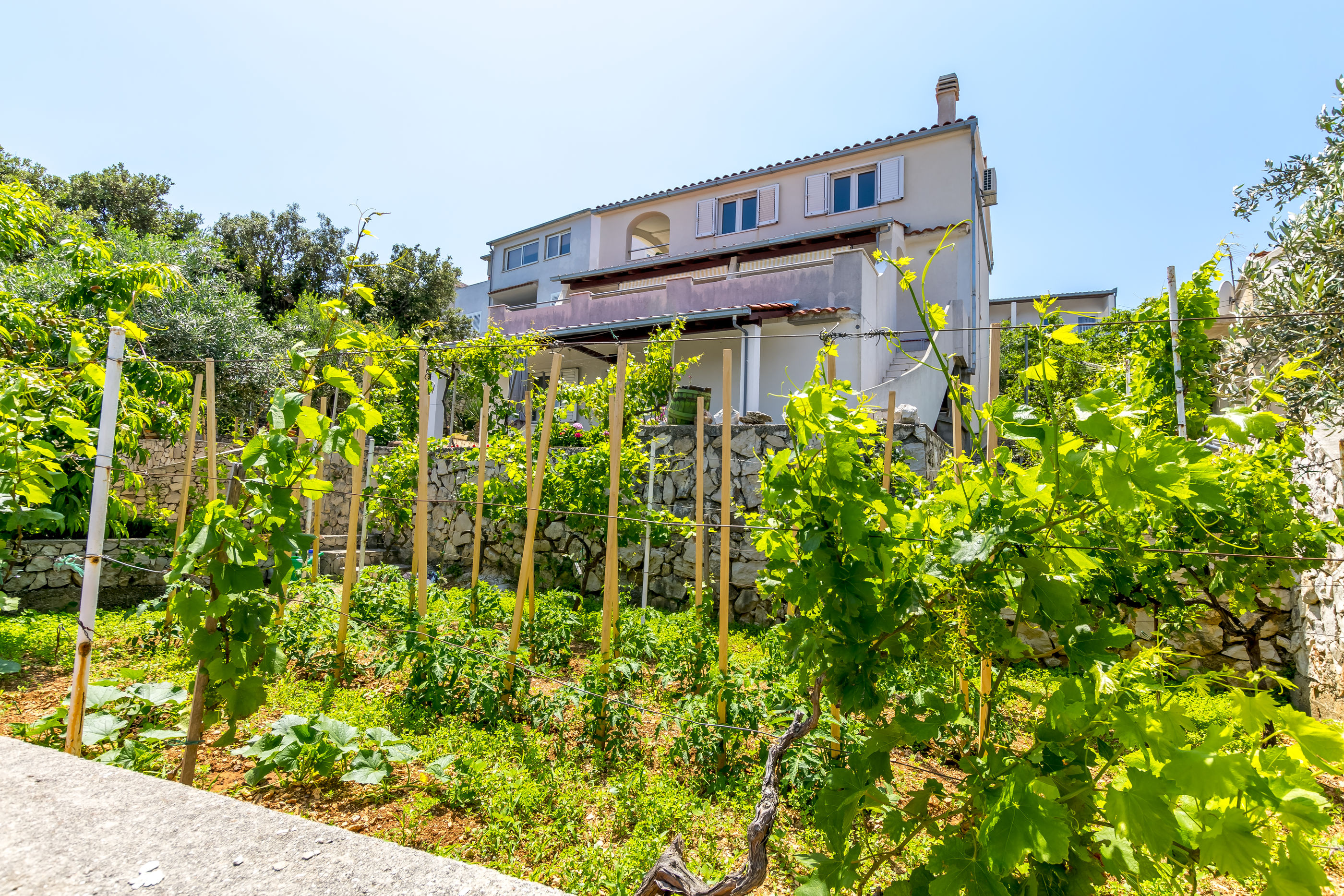 Apartments Božo 68311-A3