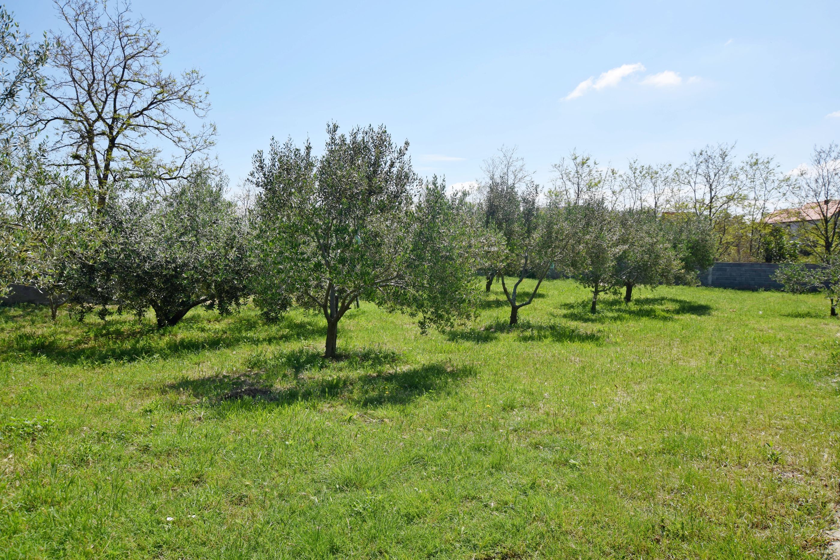 Photo of Apartment Maja